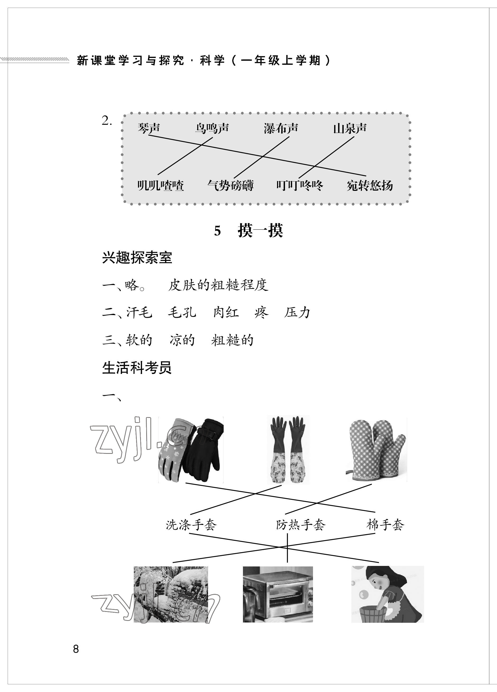 2023年新課堂學習與探究一年級科學上冊青島版 參考答案第8頁