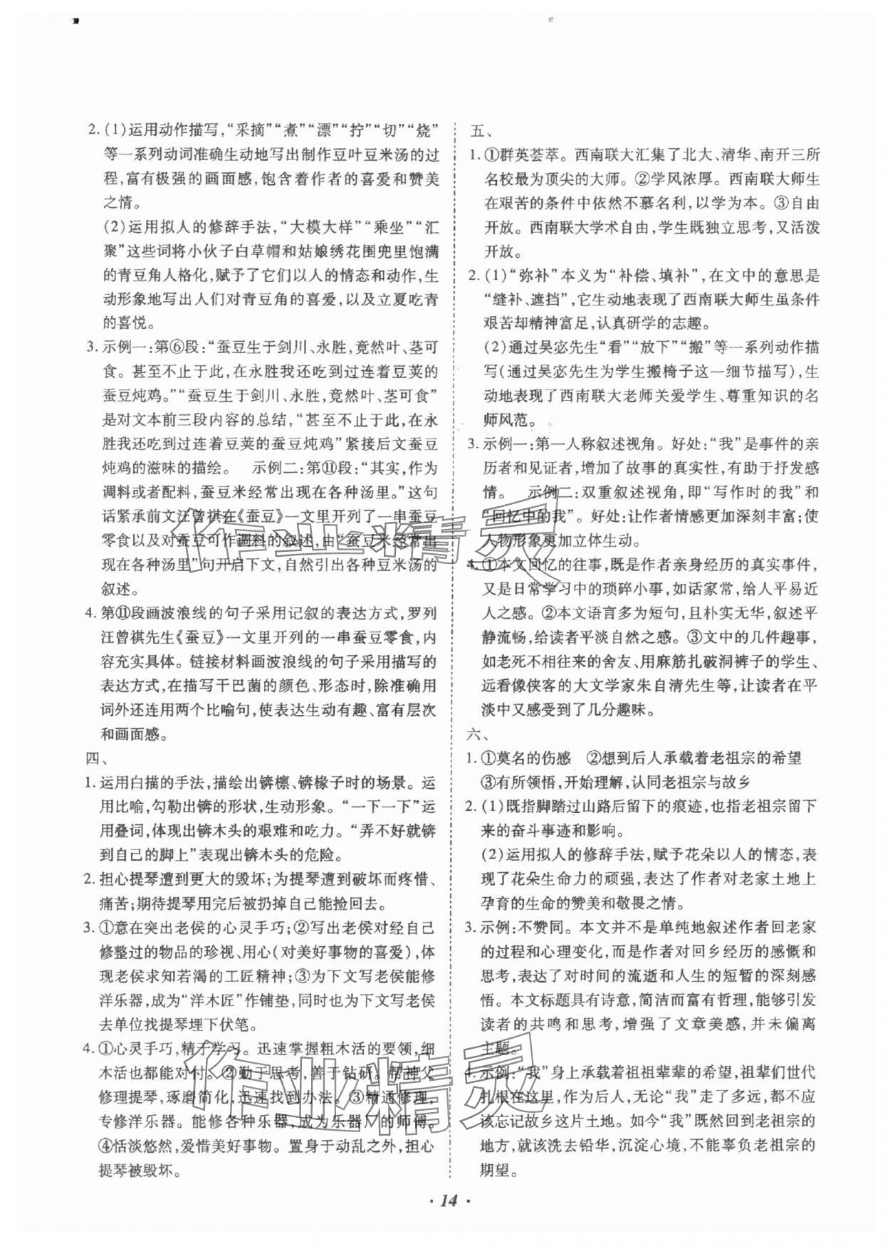 2025年本土攻略精準復習方案語文云南專版 參考答案第14頁
