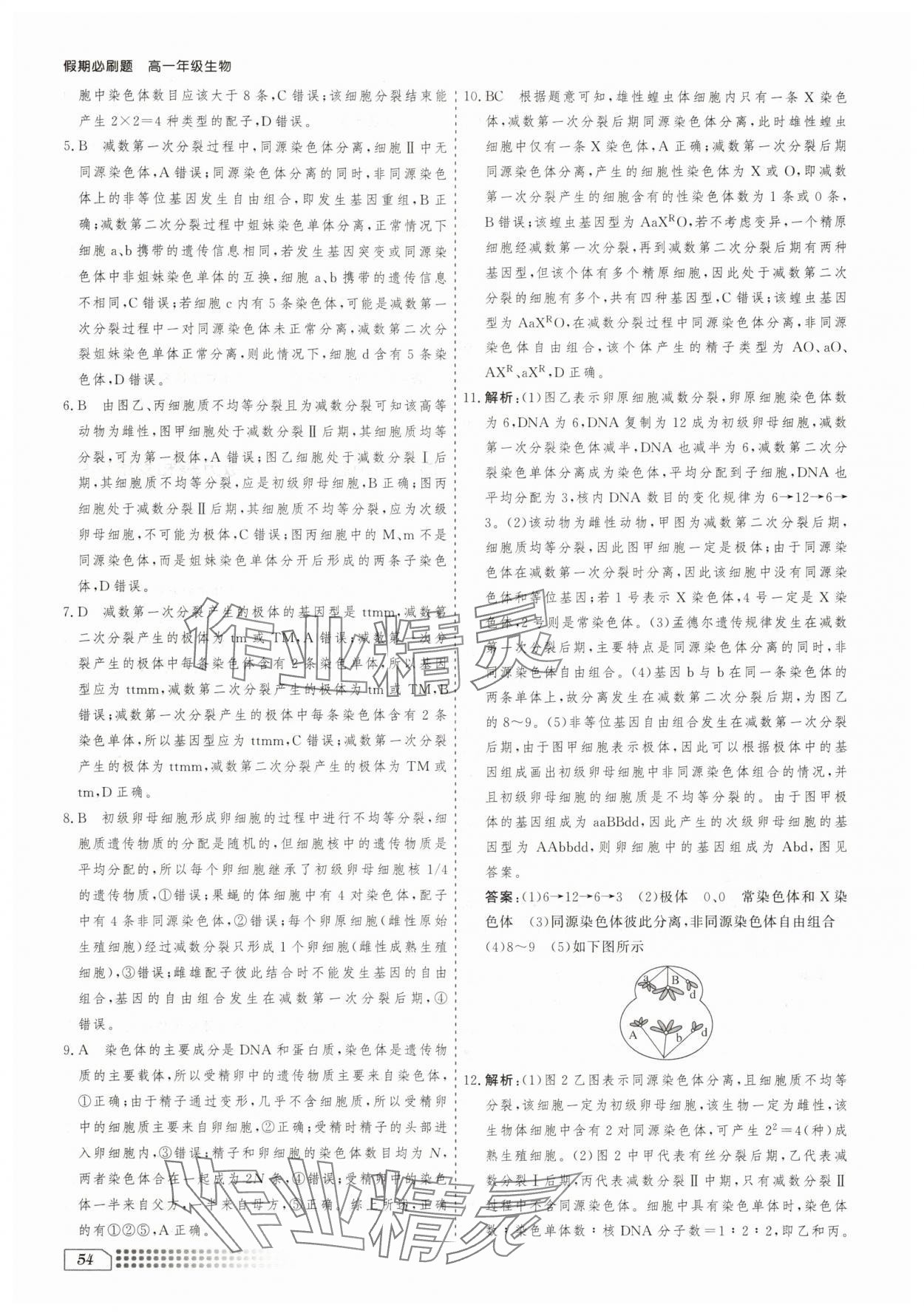 2025年暑假刷題計(jì)劃高一生物學(xué)人教版 第4頁