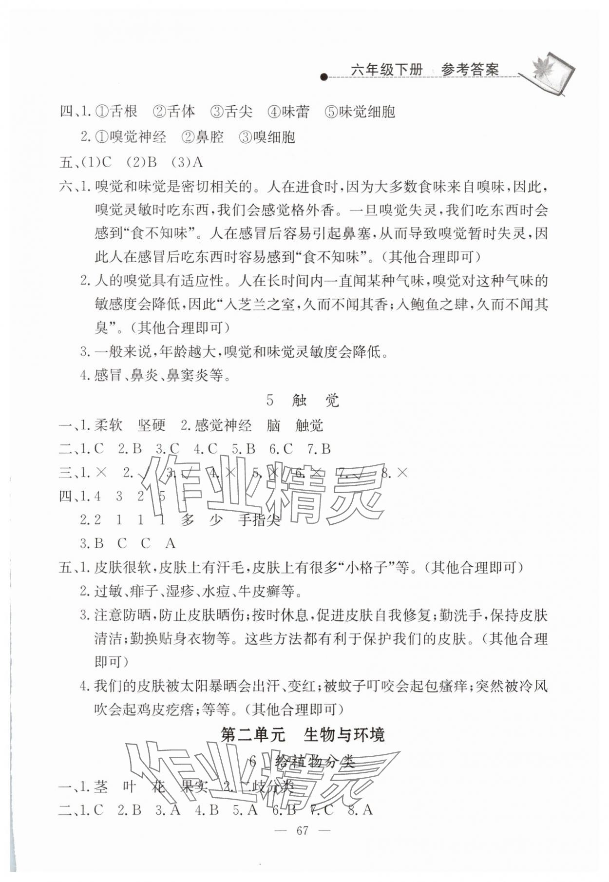 2025年同步練習冊山東科學技術出版社六年級科學下冊青島版 第3頁