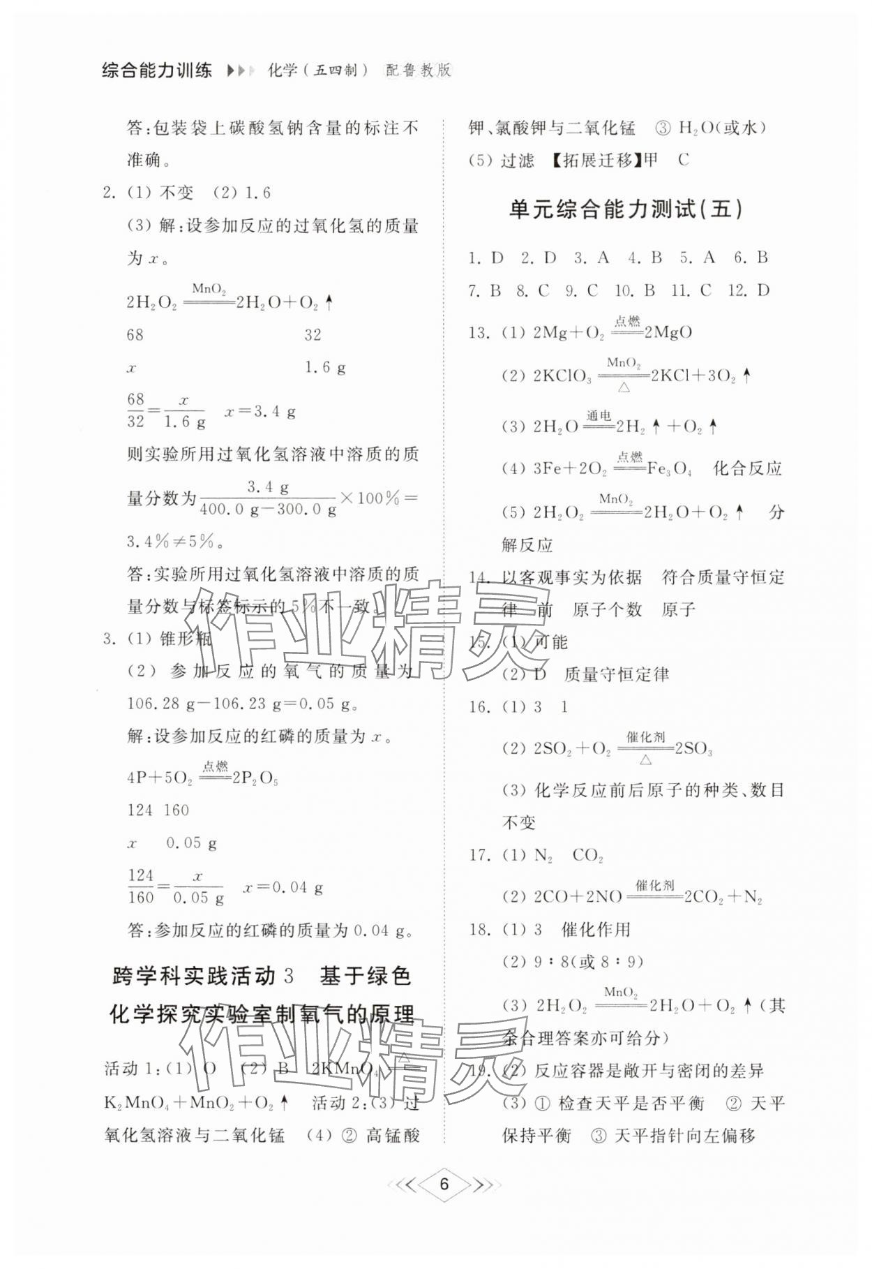 2025年綜合能力訓練八年級化學下冊魯教版54制 參考答案第5頁