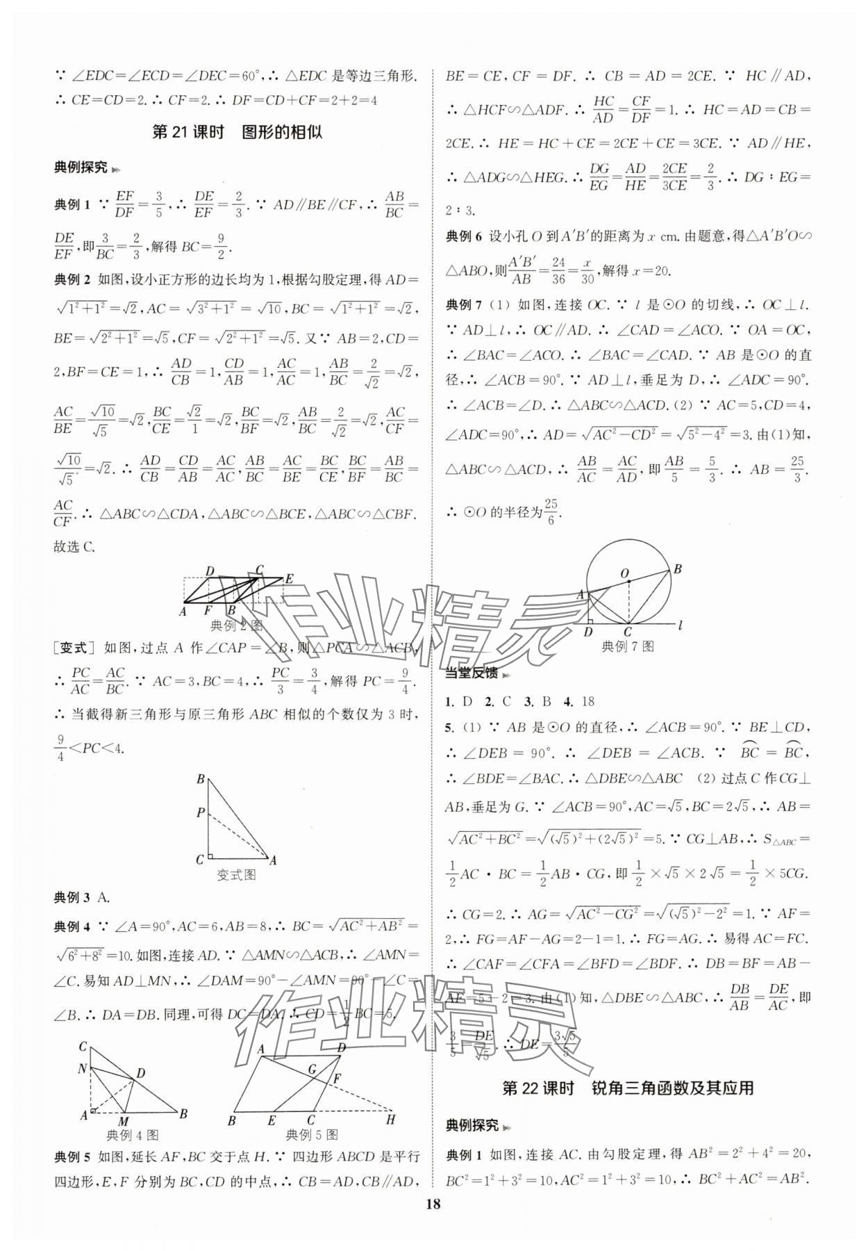 2025年通城學(xué)典通城1典中考復(fù)習(xí)方略數(shù)學(xué)江蘇專用 參考答案第18頁