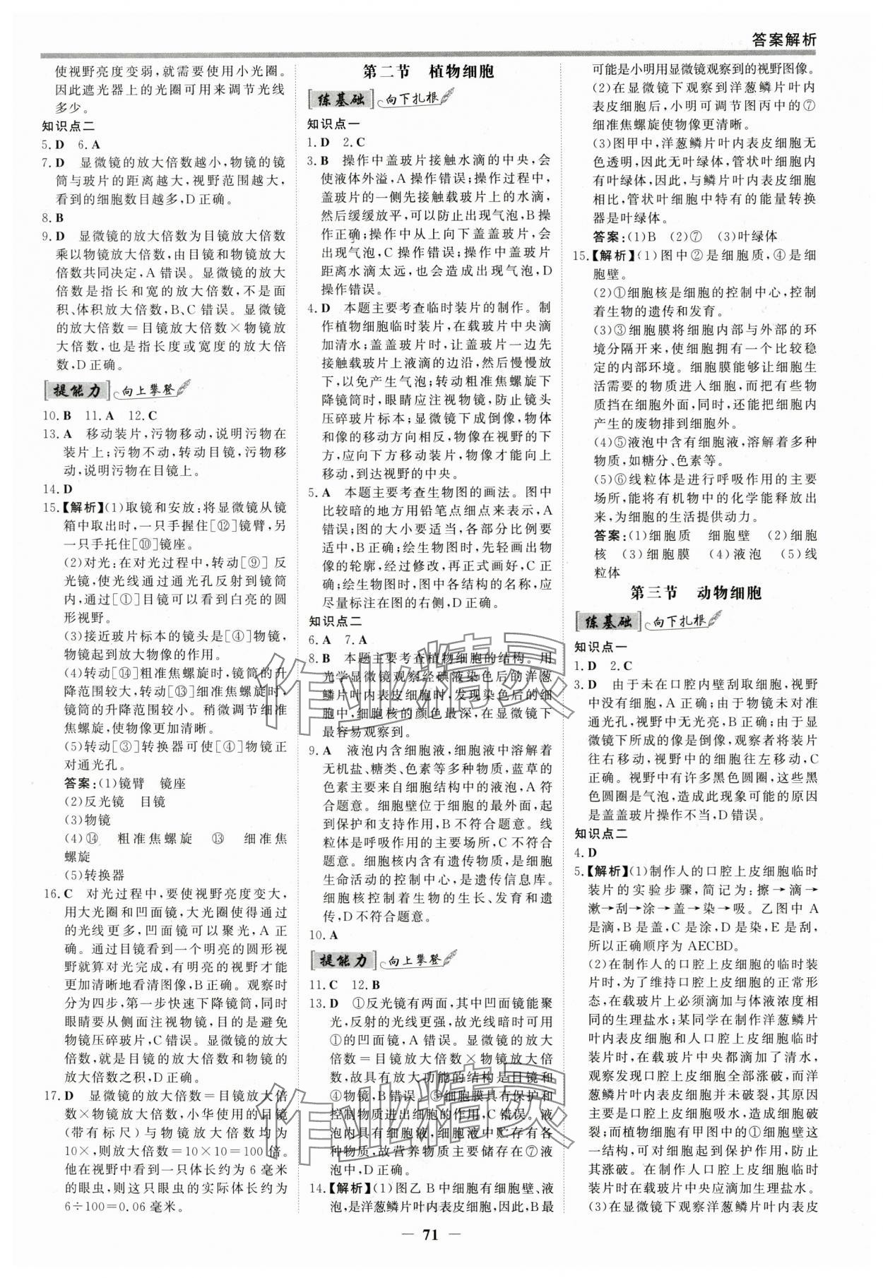 2025年世纪金榜百练百胜七年级生物上册人教版 参考答案第2页