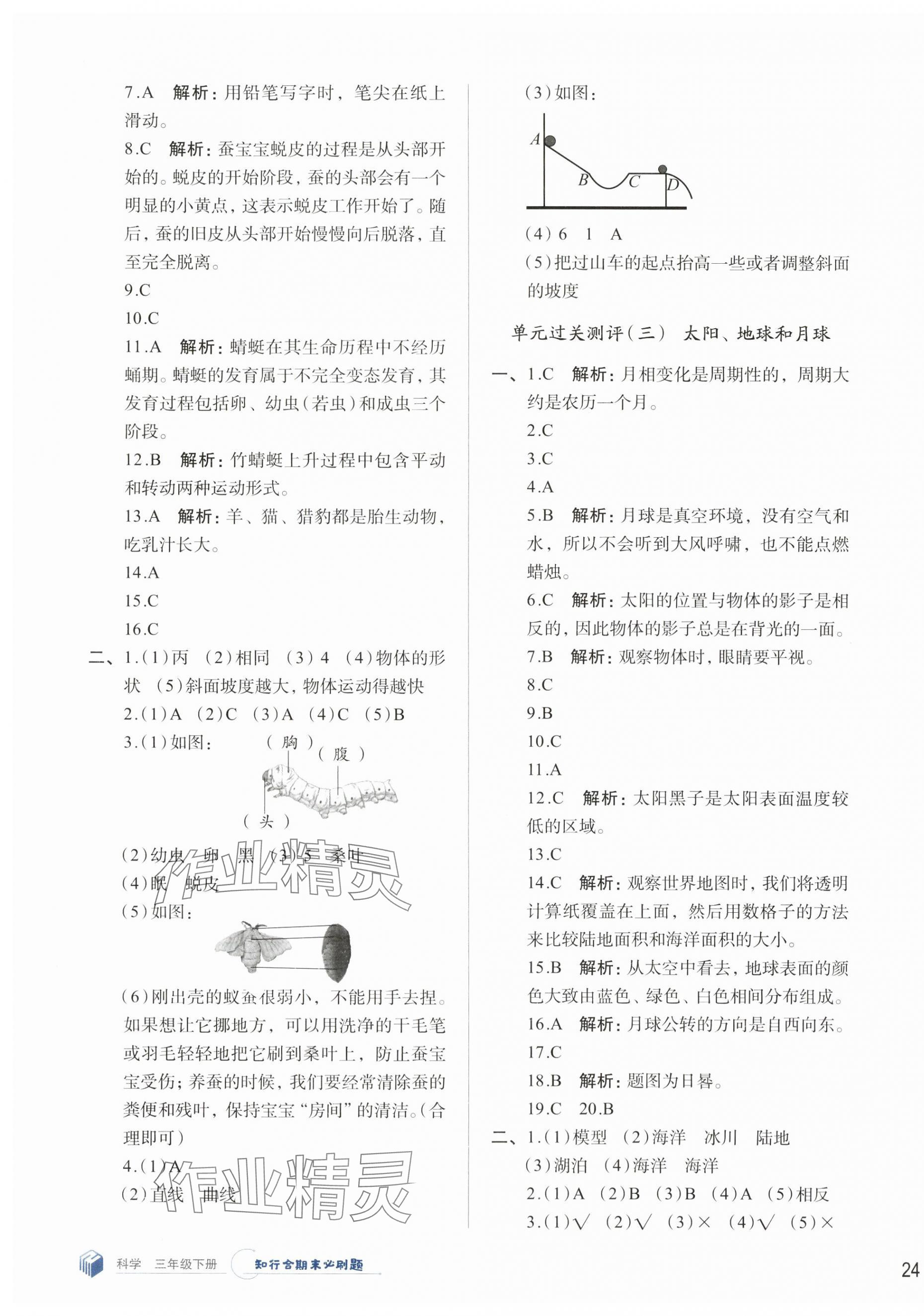 2025年知行合期末必刷題三年級科學下冊教科版 第3頁