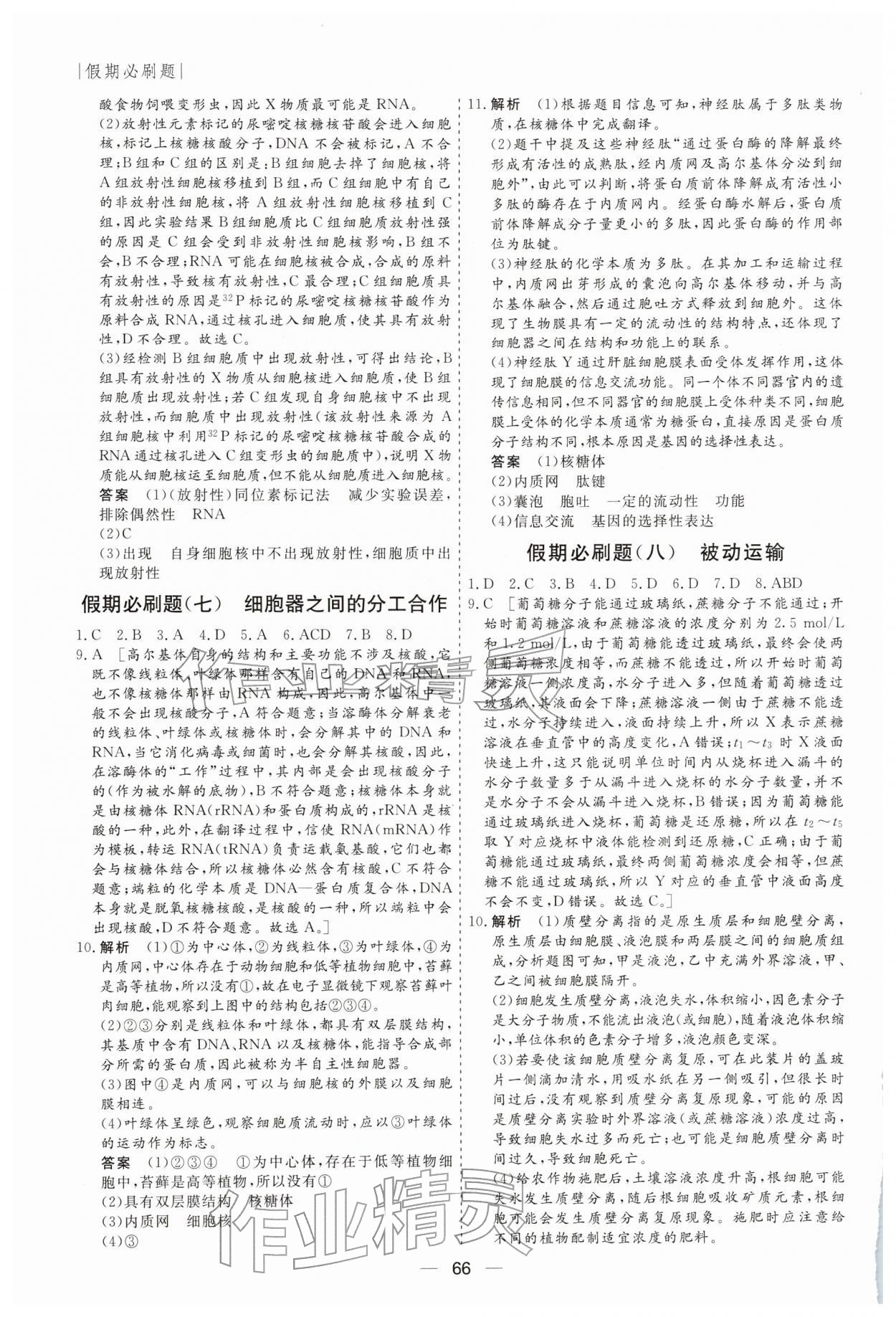 2026年薪火文化假期必刷題高一生物&nbsp;第4頁(yè)