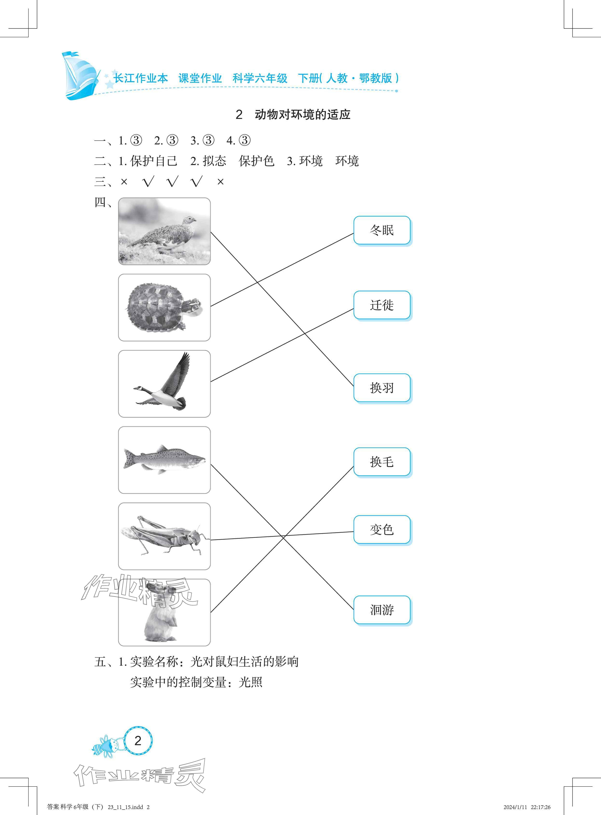 2025年长江作业本课堂作业六年级科学下册鄂教版 参考答案第2页