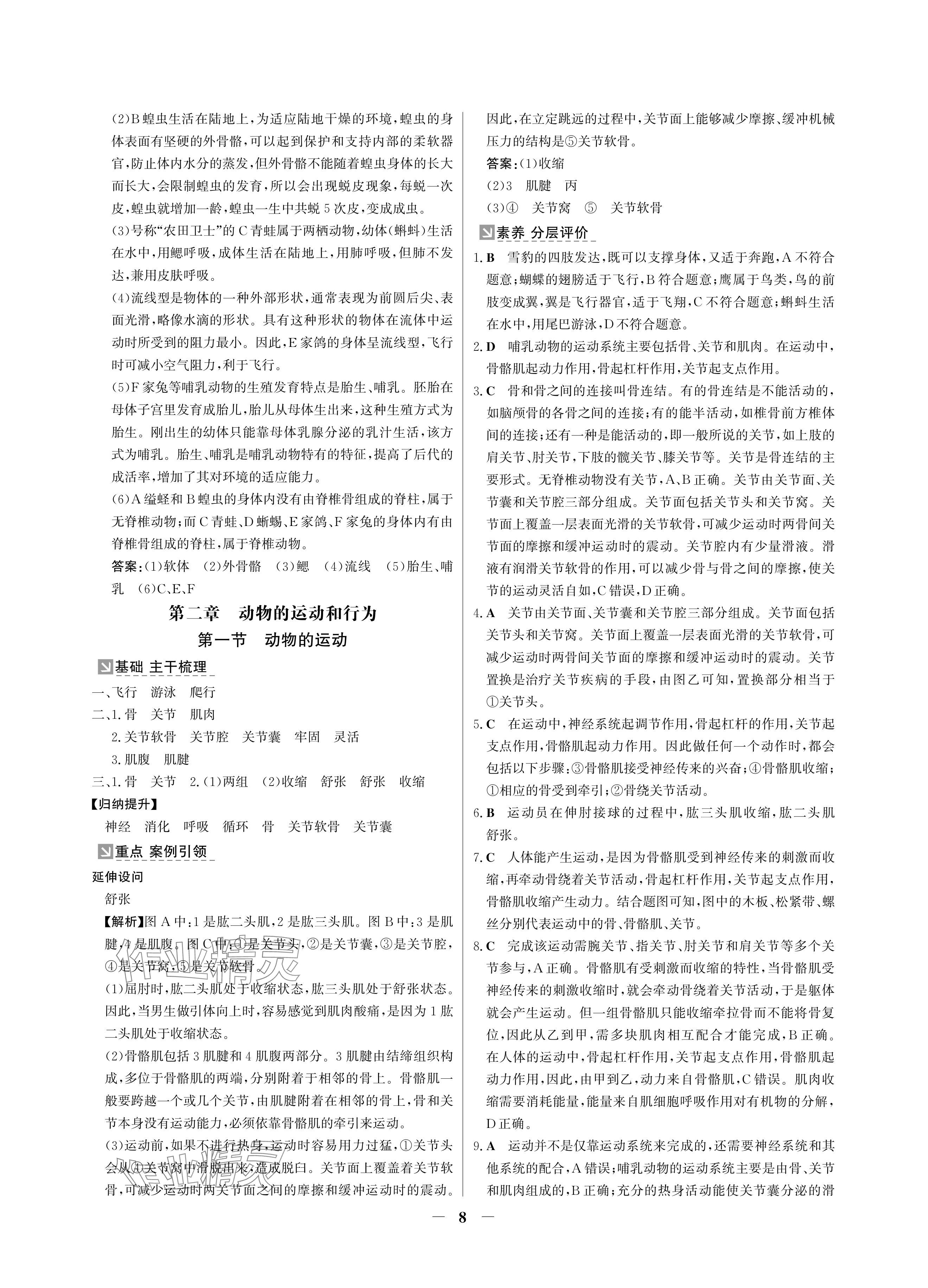 2024年南方新課堂金牌學案八年級生物上冊人教版深圳專版 參考答案第8頁