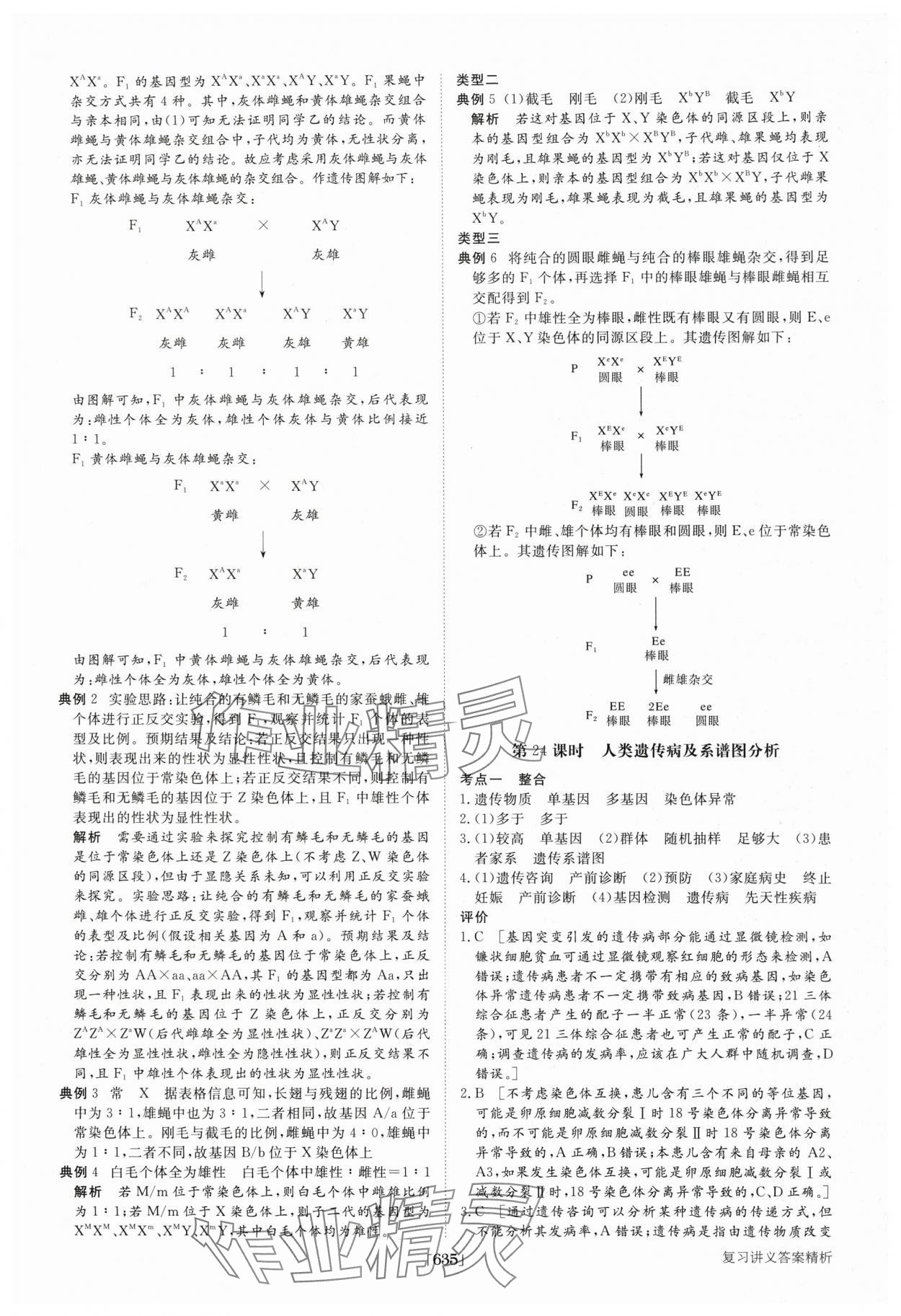 2025年步步高大一輪復習講義高中生物 第27頁