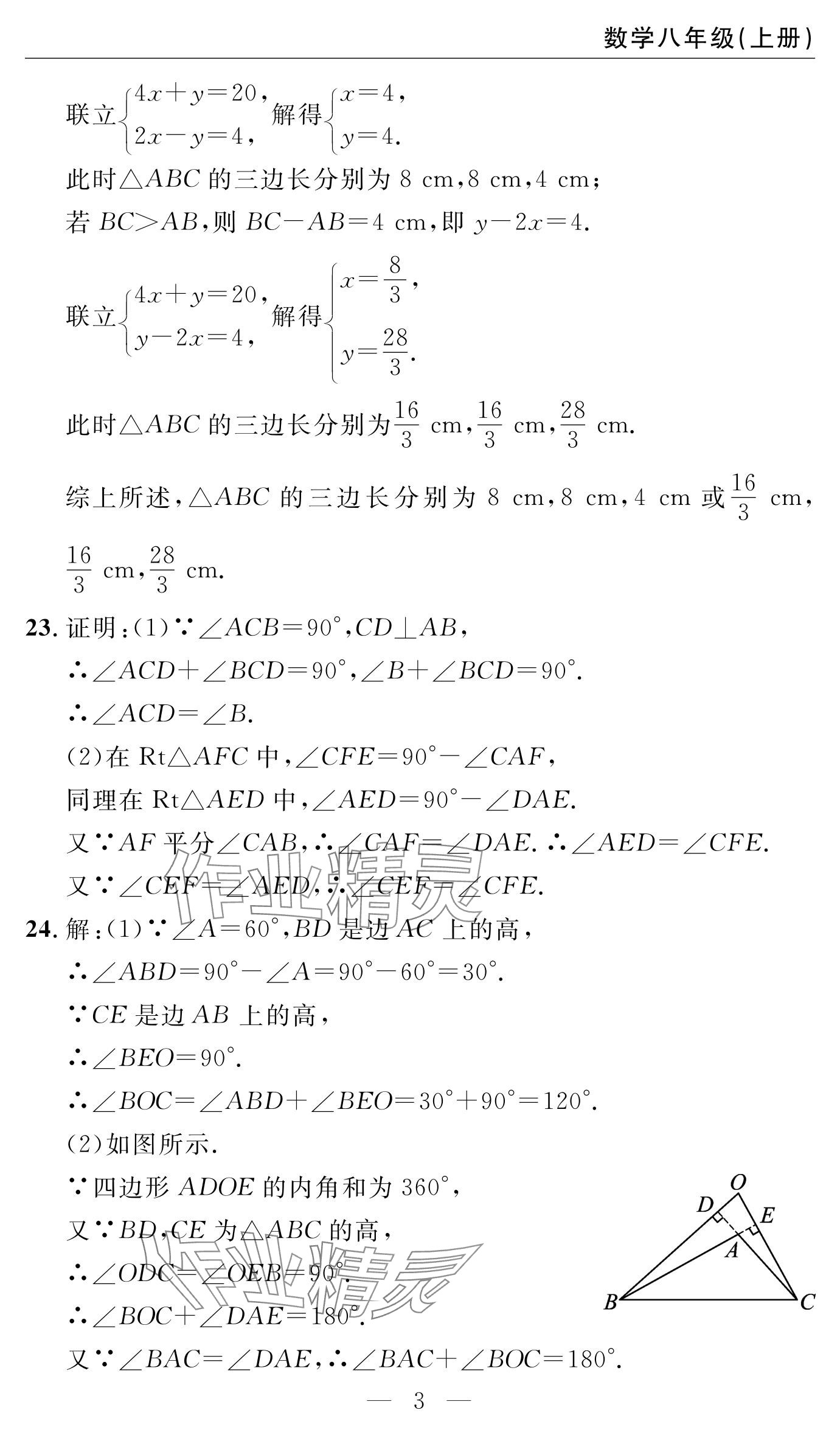 2024年智慧課堂自主評價八年級數學上冊 參考答案第3頁