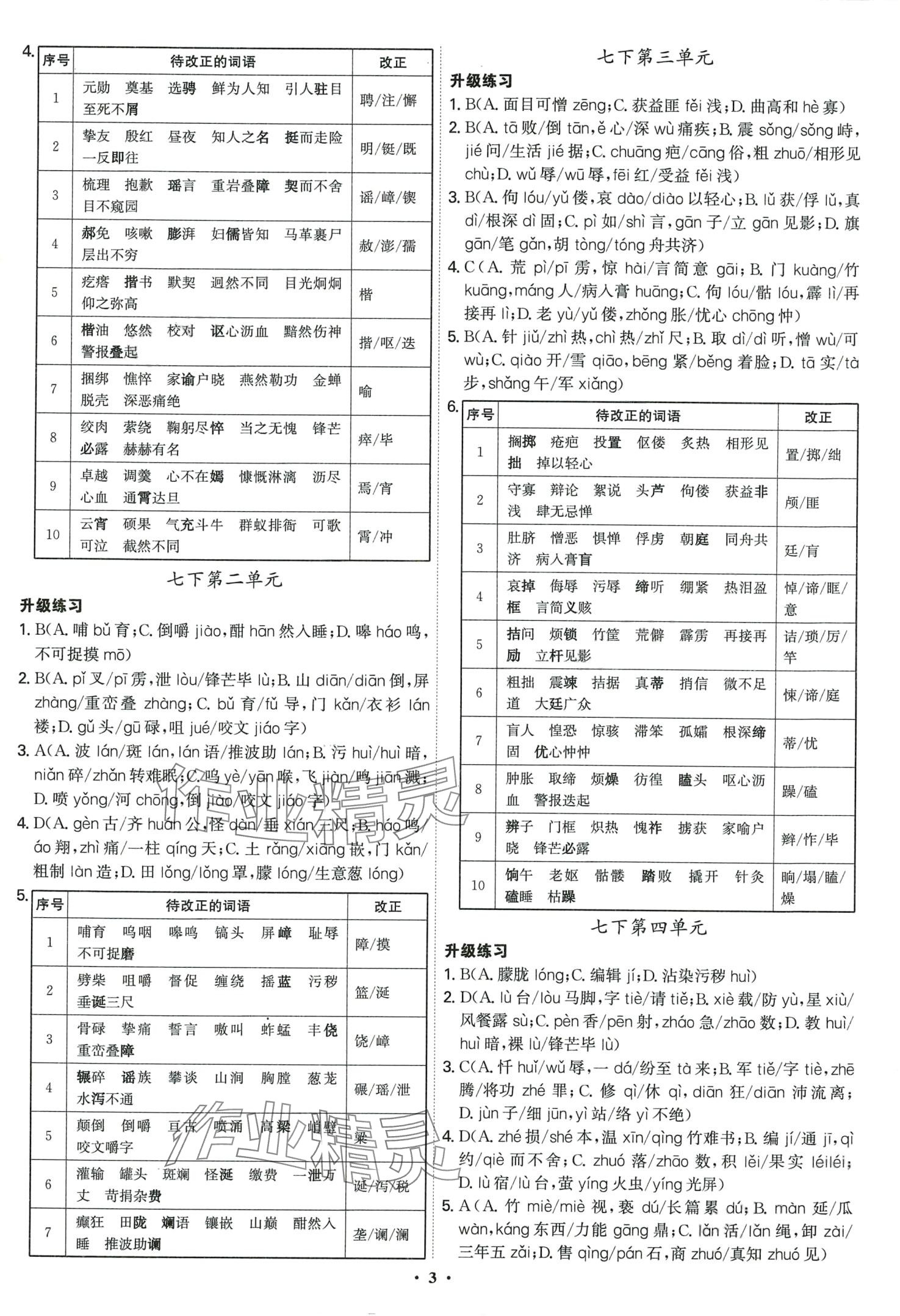 2024年精準初中語文一本通 第3頁
