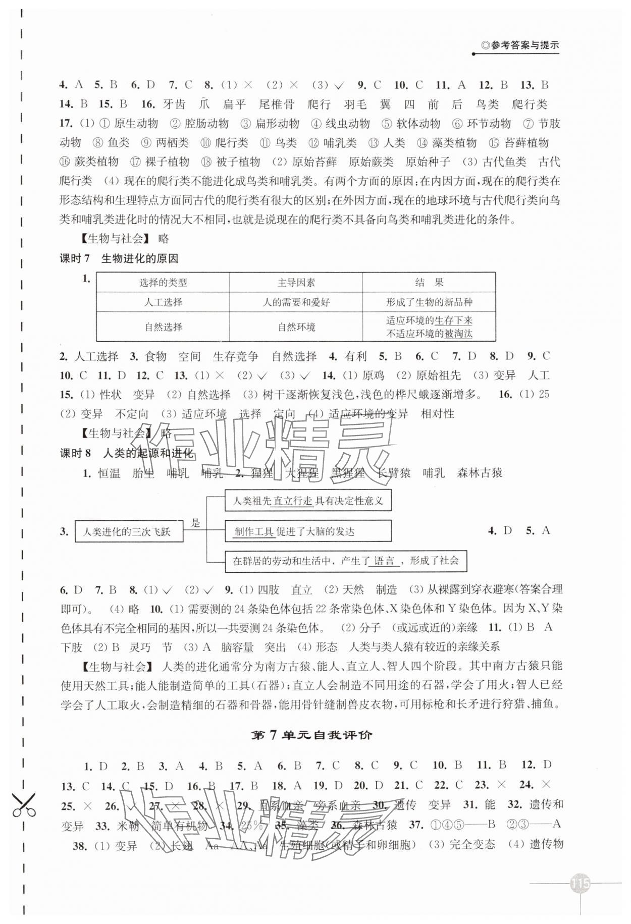 2025年課課練八年級生物下冊蘇科版 第3頁