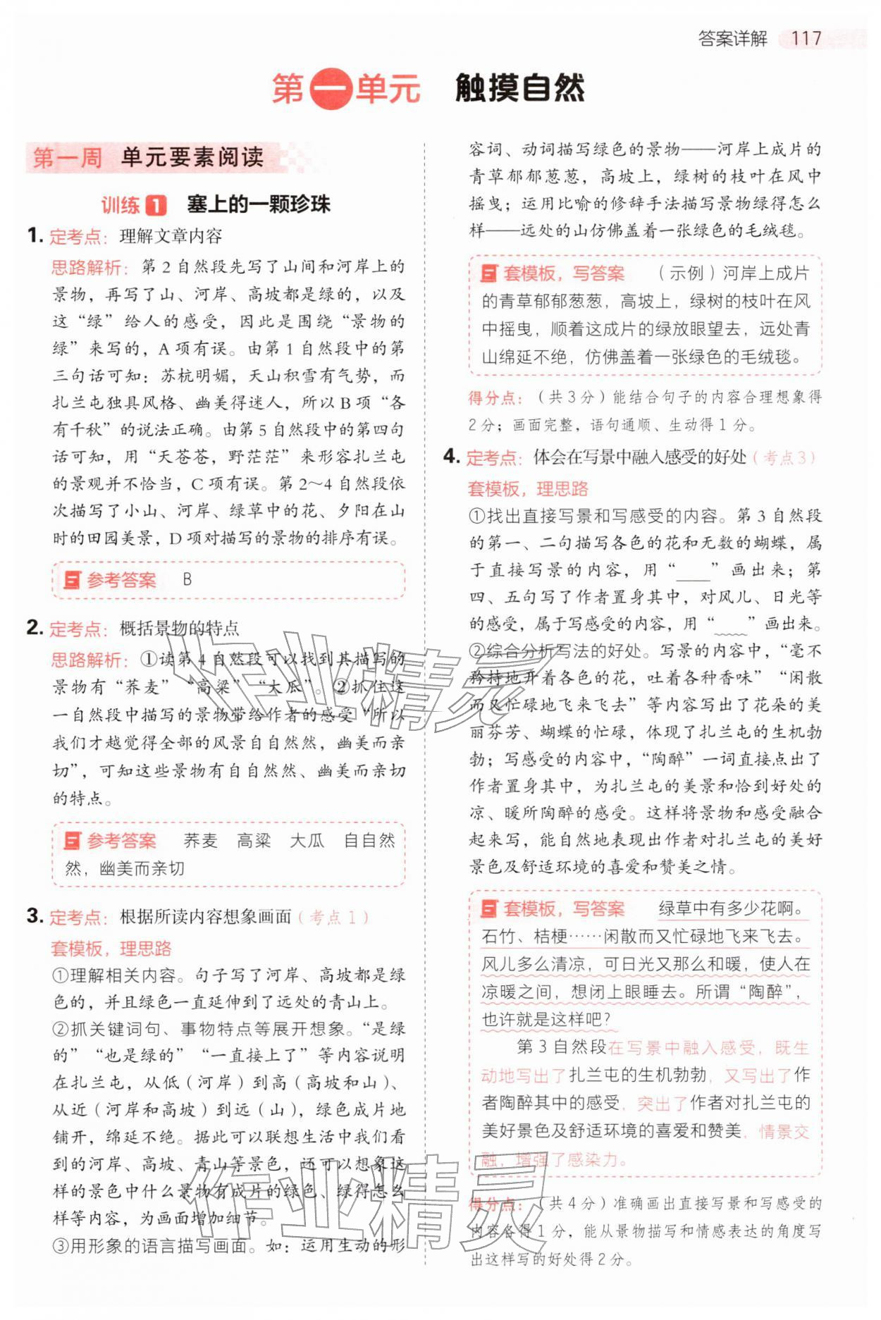 2025年同步阅读答题模板六年级语文上册人教版 参考答案第1页