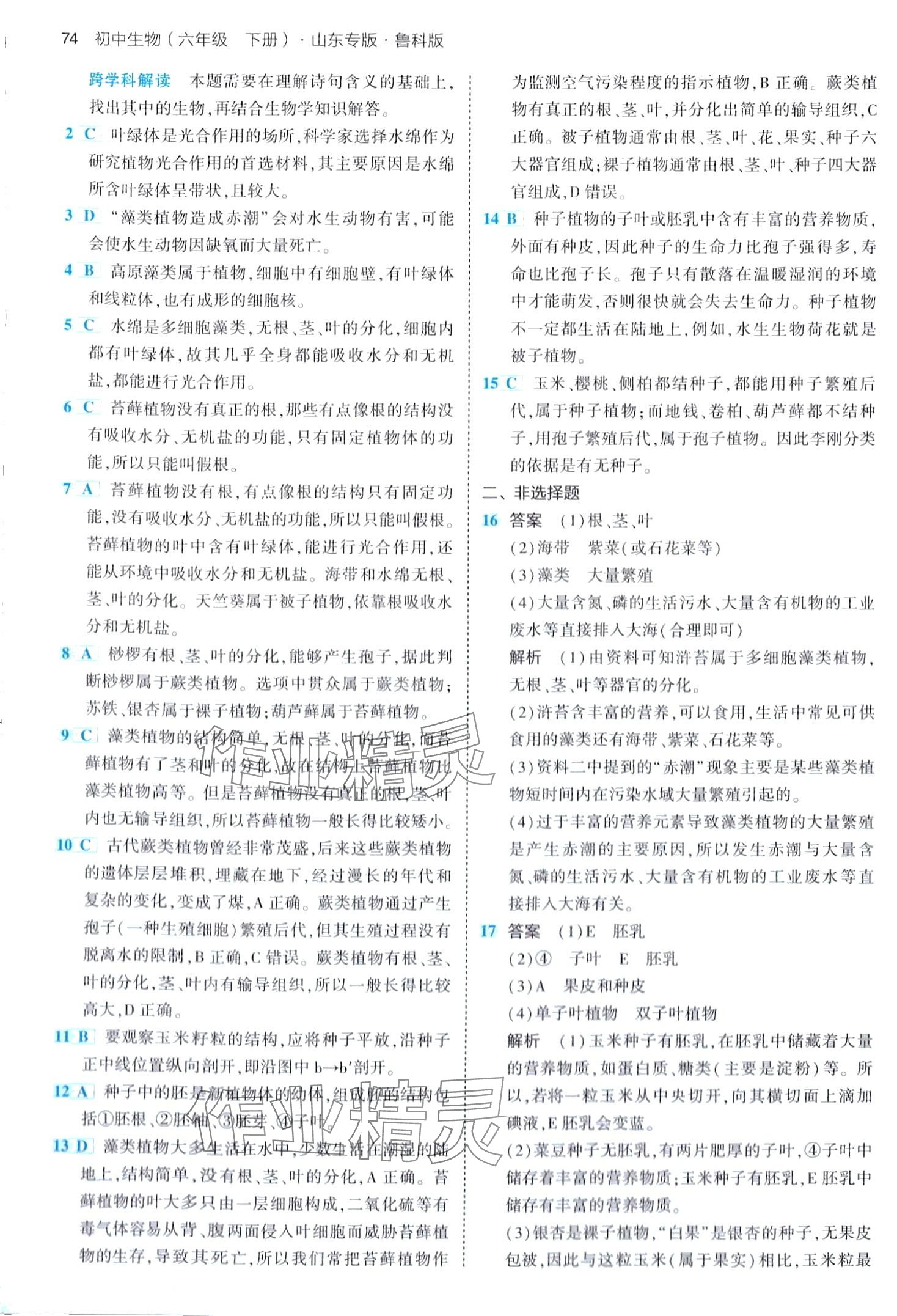 2024年5年中考3年模擬六年級(jí)生物下冊魯科版山東專版 第4頁