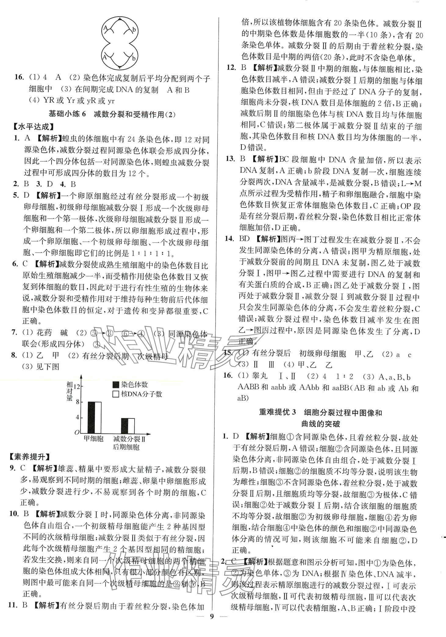 2024年南通小題高中生物必修2人教版 第9頁