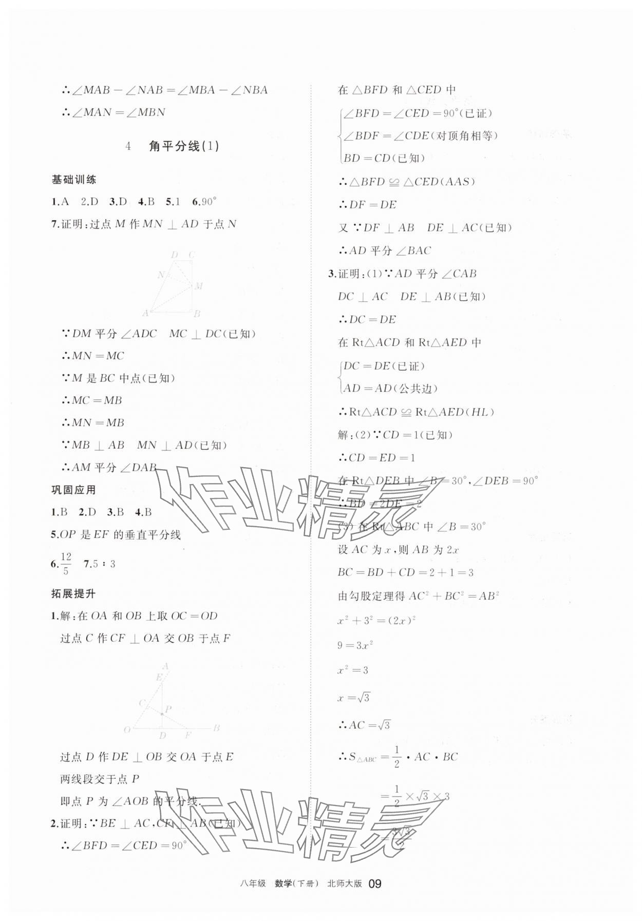 2025年學(xué)習(xí)之友八年級數(shù)學(xué)下冊北師大版 參考答案第9頁