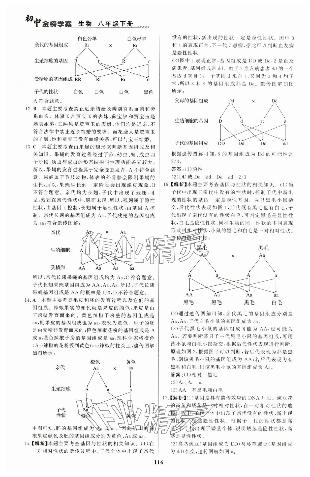 2024年世紀金榜金榜學案八年級生物下冊人教版河南專版 參考答案第7頁