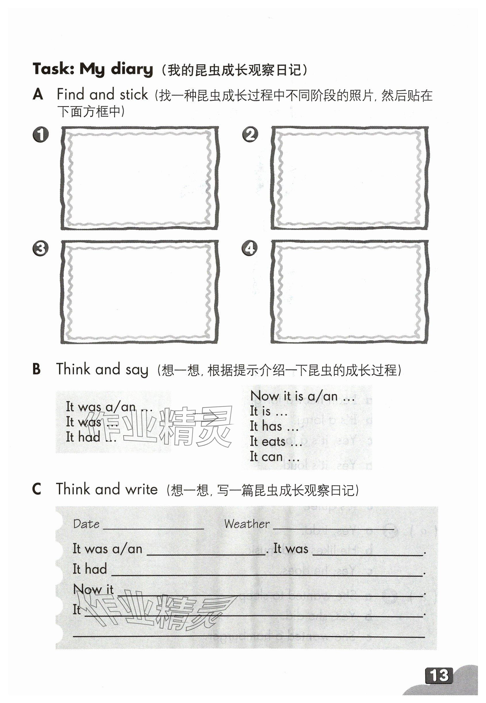 2024年練習(xí)部分五年級(jí)英語(yǔ)下冊(cè)滬教版五四制 參考答案第12頁(yè)