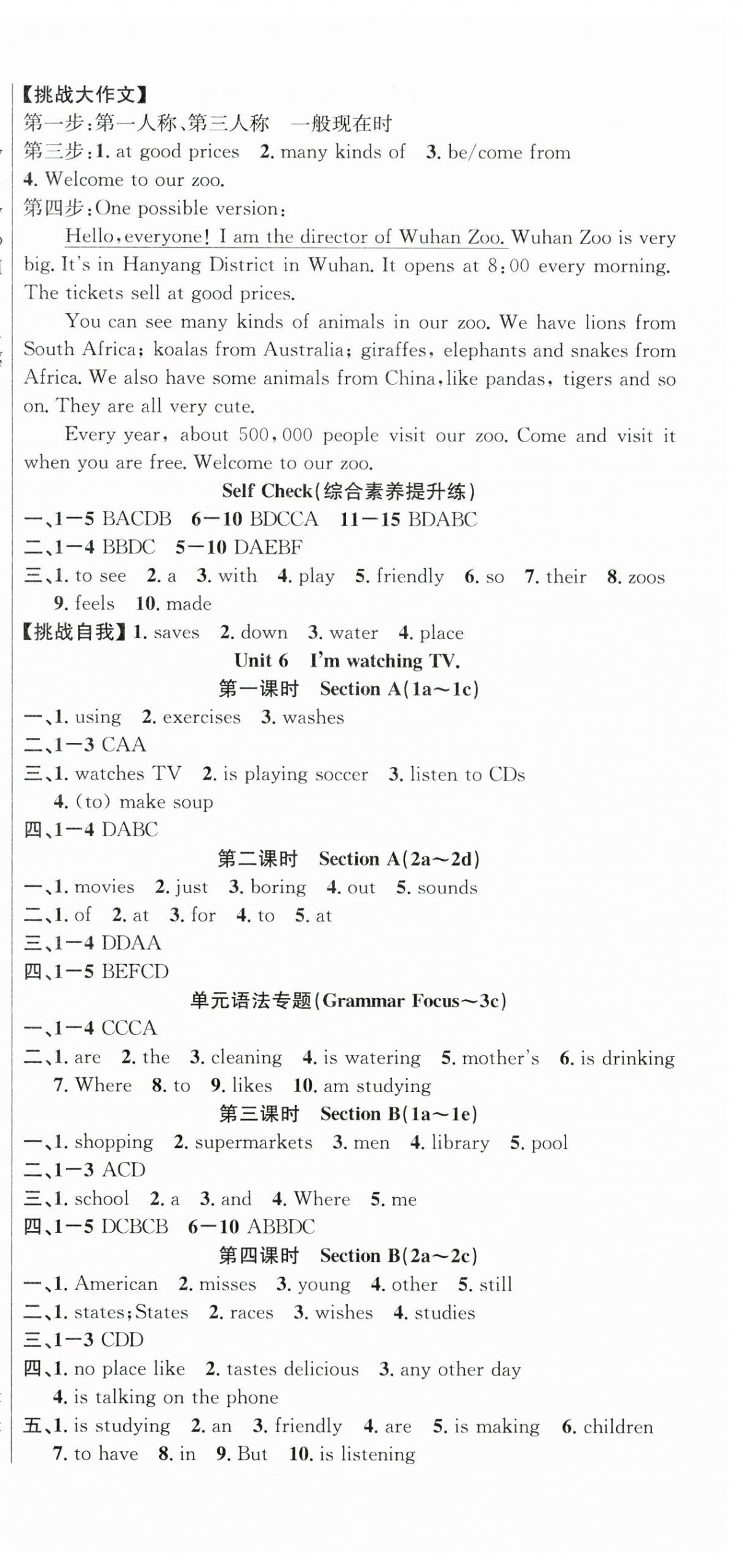 2024年課時(shí)奪冠七年級(jí)英語(yǔ)下冊(cè)人教版 第6頁(yè)