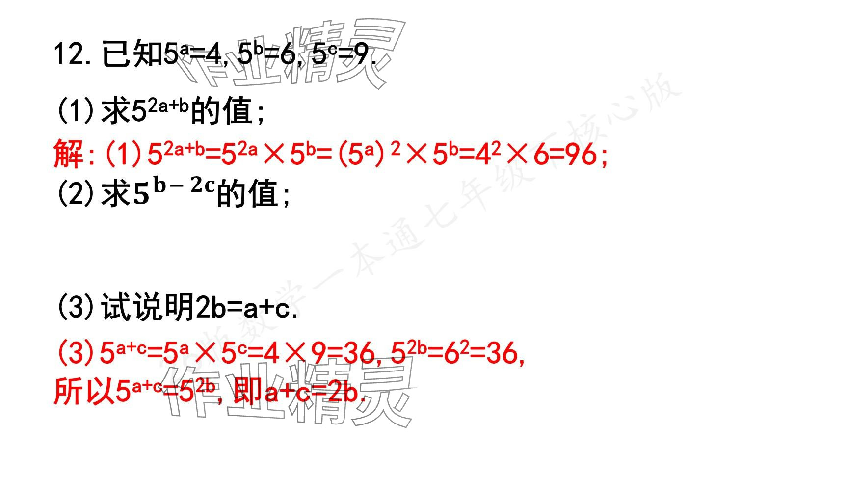 2025年一本通武漢出版社七年級數(shù)學(xué)下冊北師大版核心版 參考答案第36頁