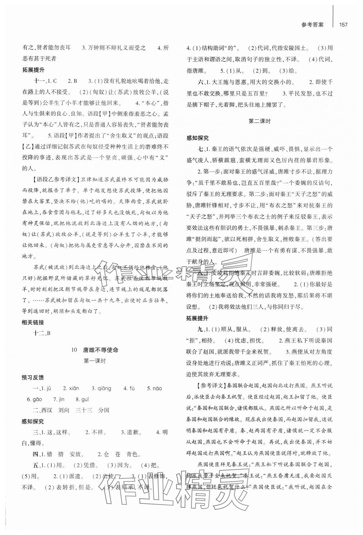2025年同步練習(xí)冊(cè)大象出版社九年級(jí)語(yǔ)文下冊(cè)人教版 參考答案第6頁(yè)