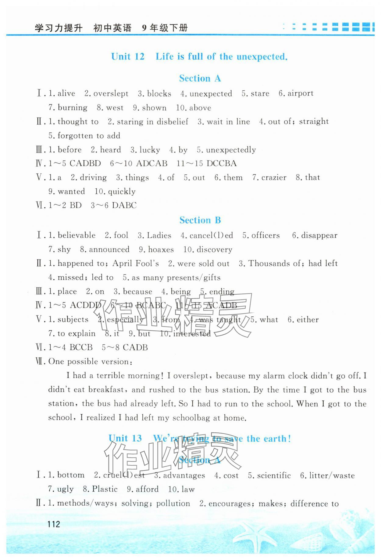 2024年學(xué)習(xí)力提升九年級英語下冊人教版 第2頁