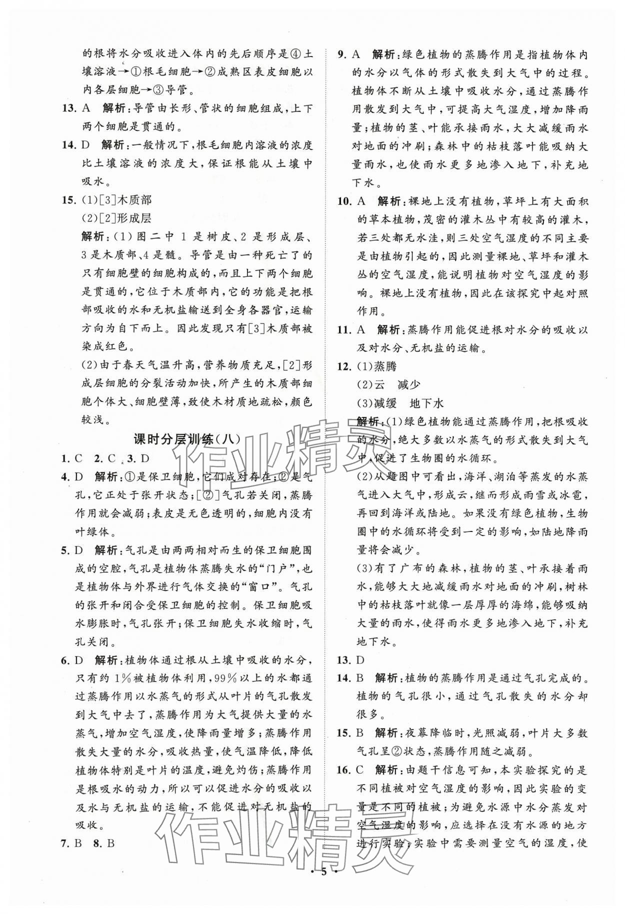 2024年同步練習冊分層卷六年級生物下冊魯科版54制 參考答案第5頁