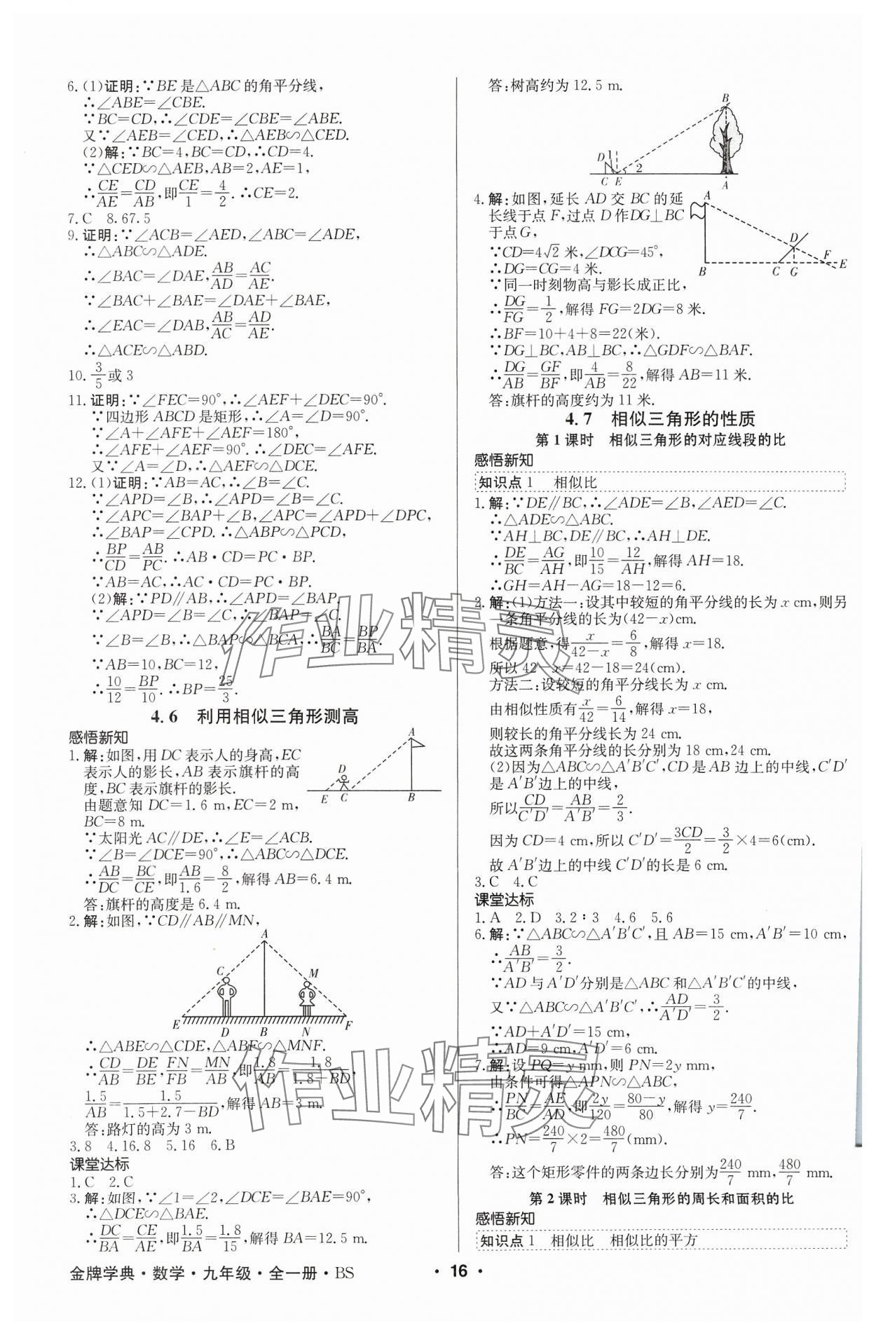 2023年金牌學典九年級數學全一冊北師大版 參考答案第16頁