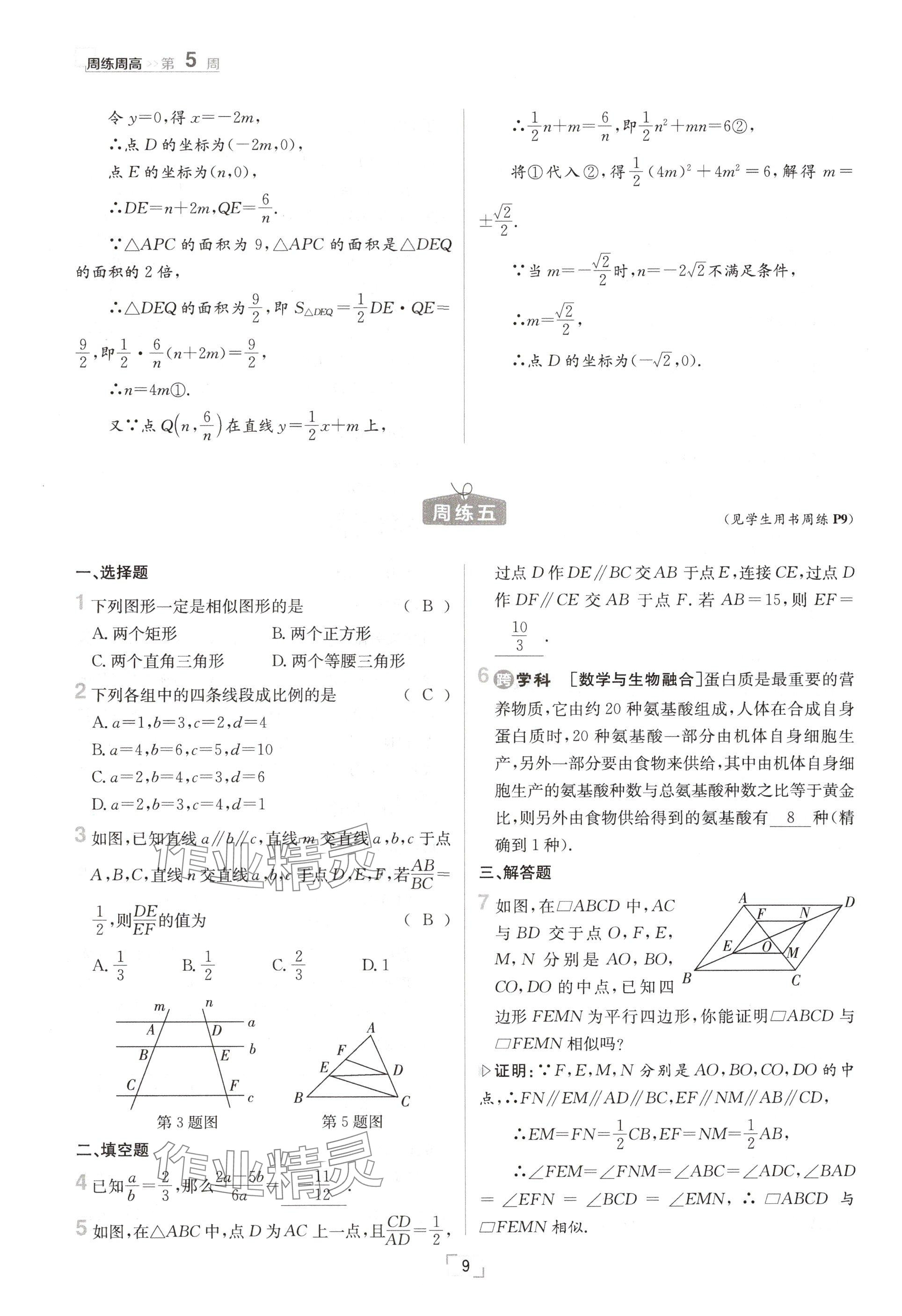 2024年日清周練九年級數(shù)學(xué)全一冊滬科版 參考答案第9頁