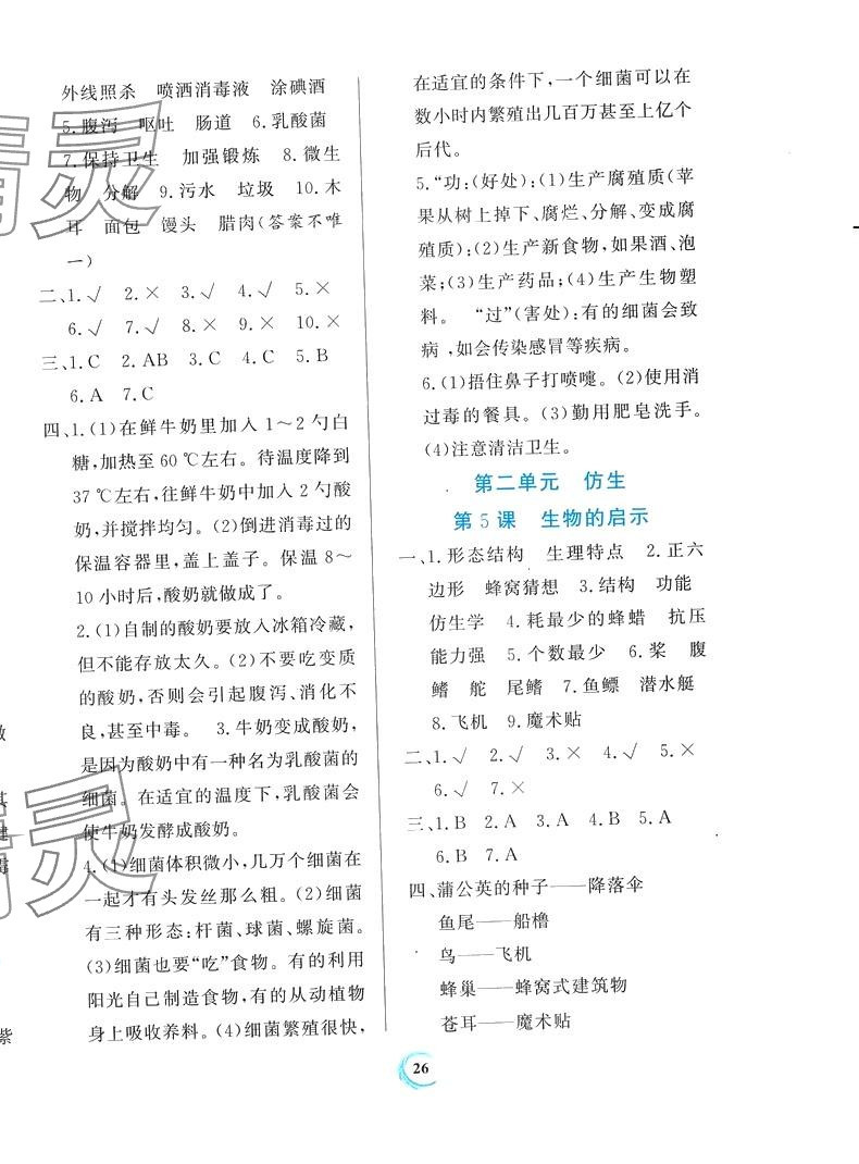 2024年家庭作業(yè)五年級科學(xué)下冊蘇教版 第2頁