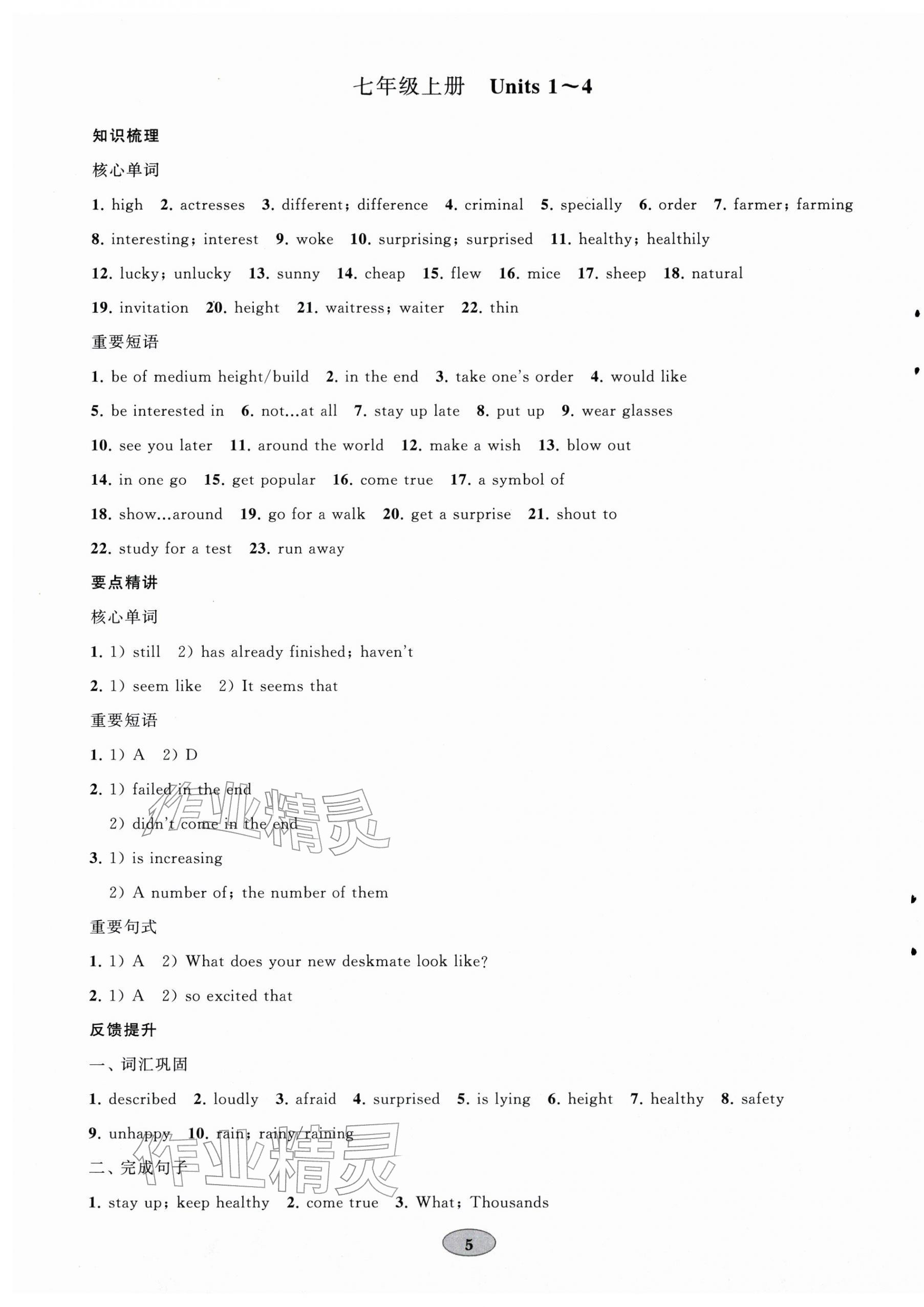 2026年初中总复习山东教育出版社九年级英语鲁教版&nbsp;第5页