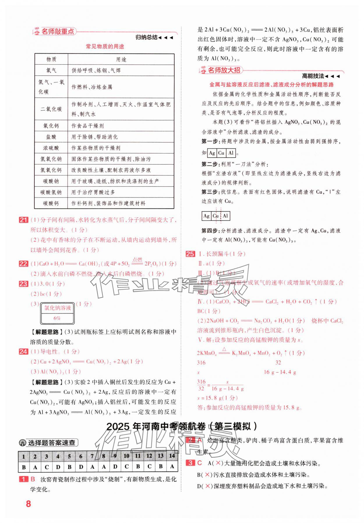 2025年金考卷百校聯(lián)盟系列中考領(lǐng)航卷化學(xué)河南專(zhuān)版 第8頁(yè)