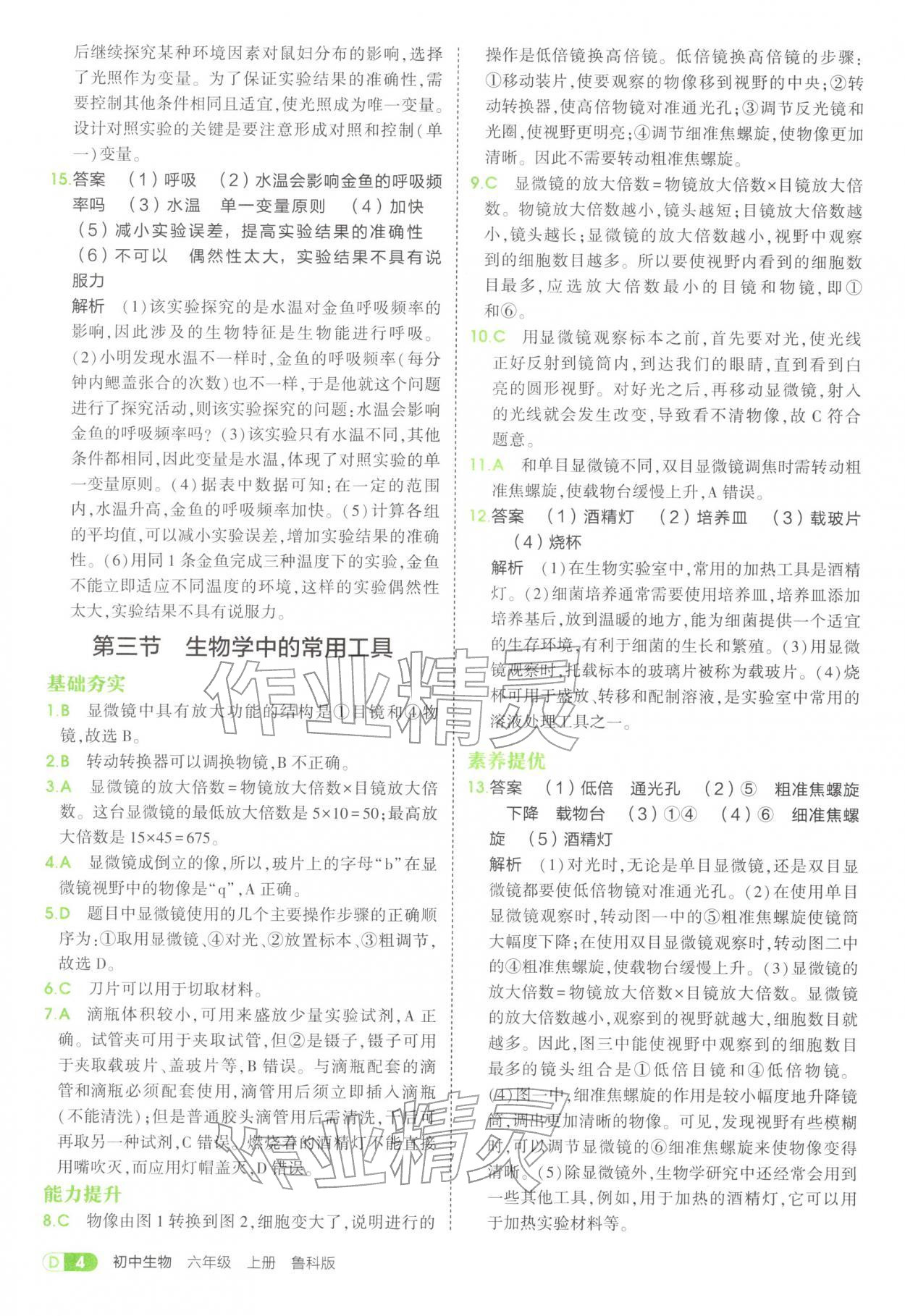 2025年5年中考3年模擬六年級生物上冊魯科版五四制 參考答案第4頁