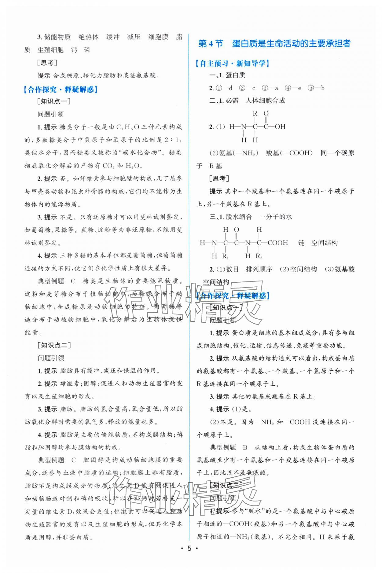 2024年高中同步測控優(yōu)化設(shè)計高一生物必修1人教版福建專版 參考答案第4頁