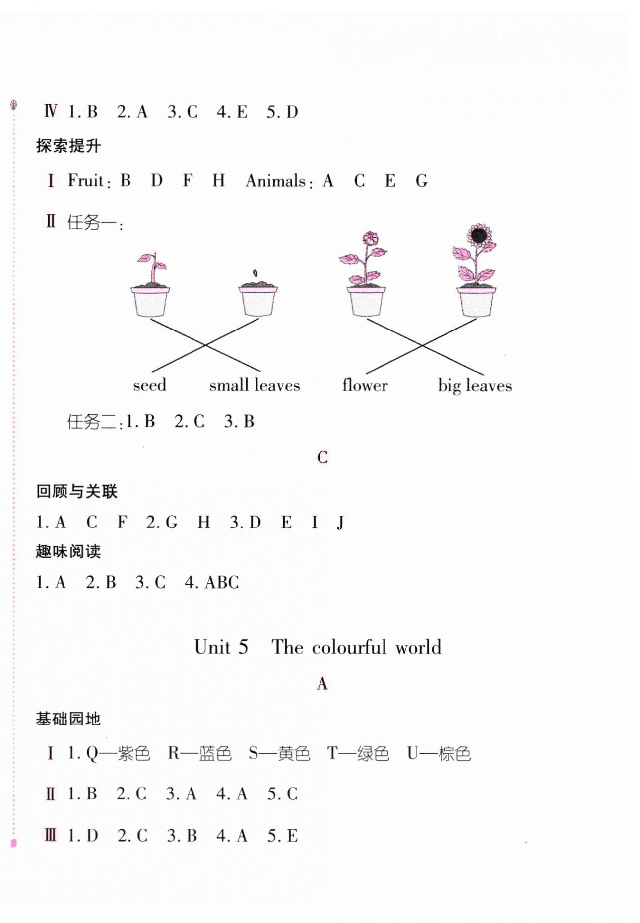 2025年新编基础训练三年级英语上册人教版 第8页