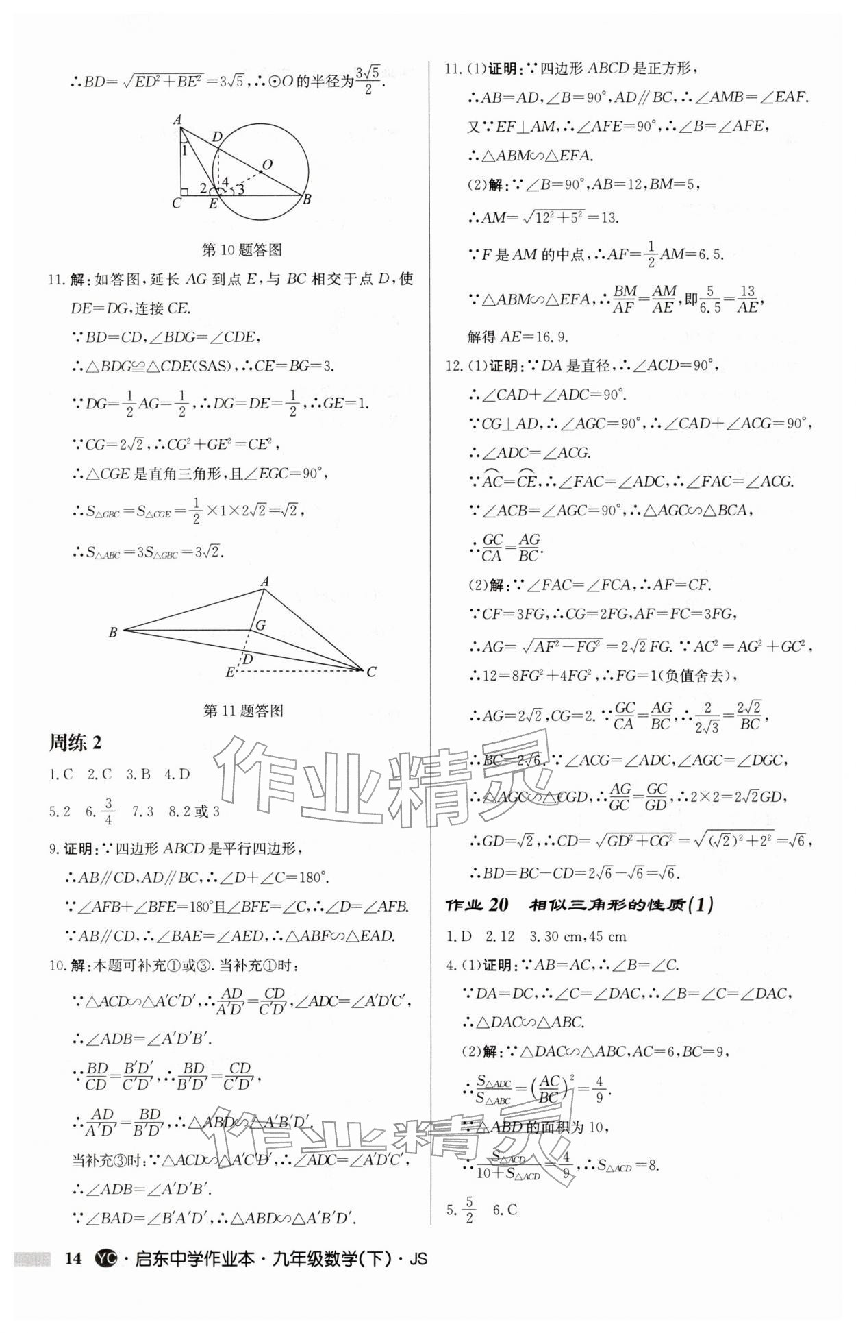2026年启东中学作业本九年级数学下册苏科版盐城专版&nbsp;第14页