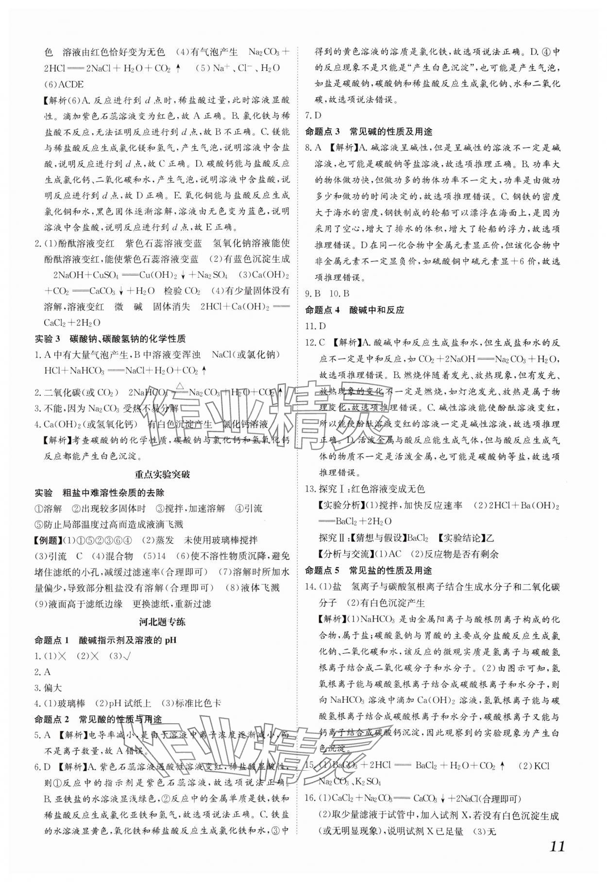 2025年一步名校中考總復(fù)習(xí)化學(xué)河北專版 第11頁