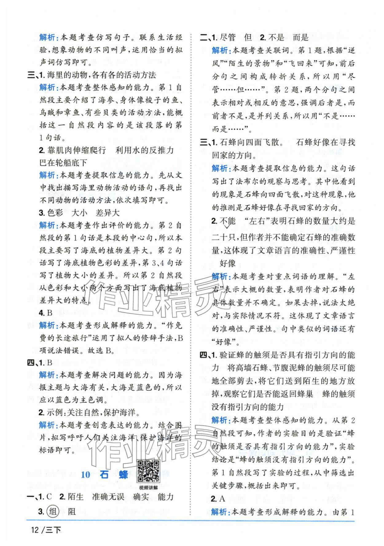 2026年阳光同学课时优化作业三年级语文下册人教版山东专版&nbsp;第12页