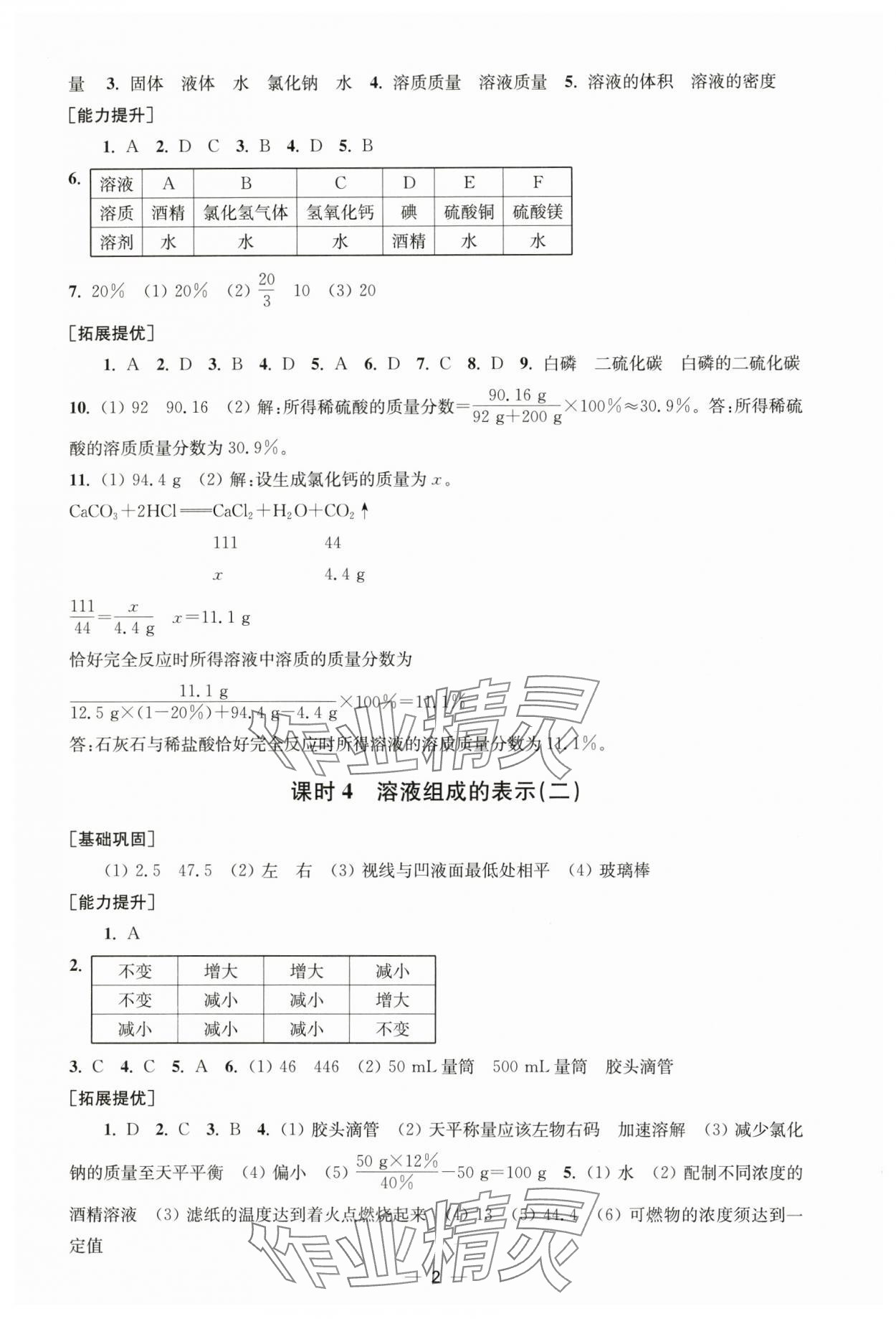 2025年创新课时作业九年级化学下册沪教版 第2页