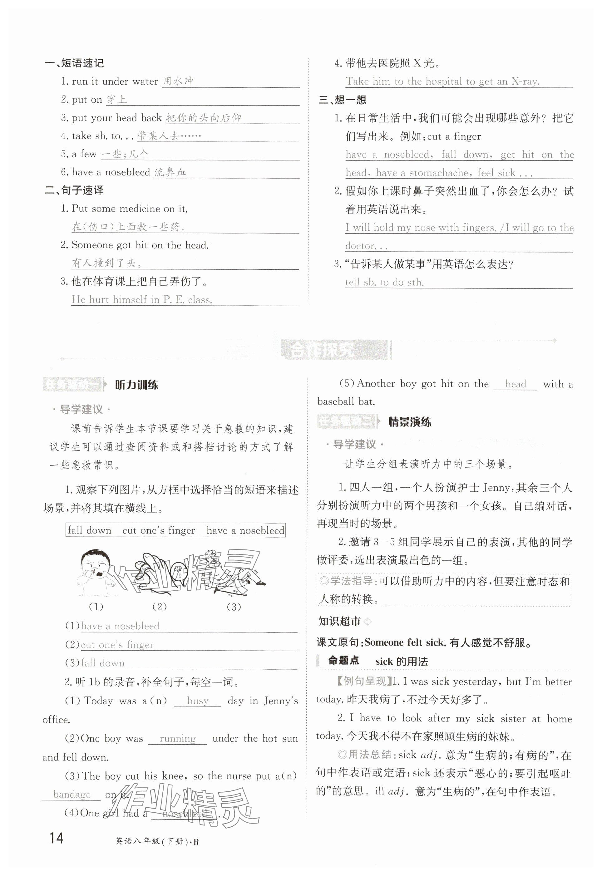 2025年金太陽導學案八年級英語下冊人教版 參考答案第14頁