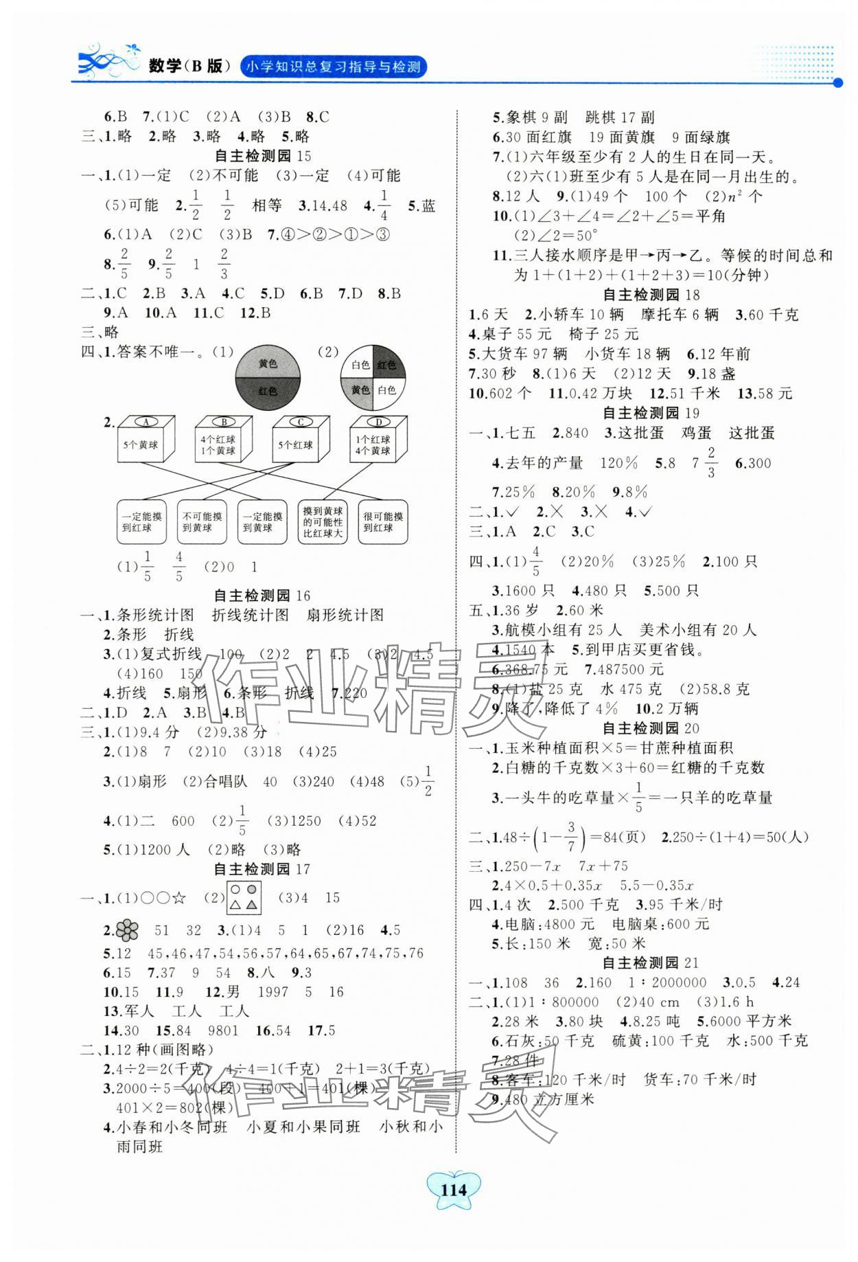 2024年大显身手小学知识总复习指导与检测数学人教版 参考答案第3页