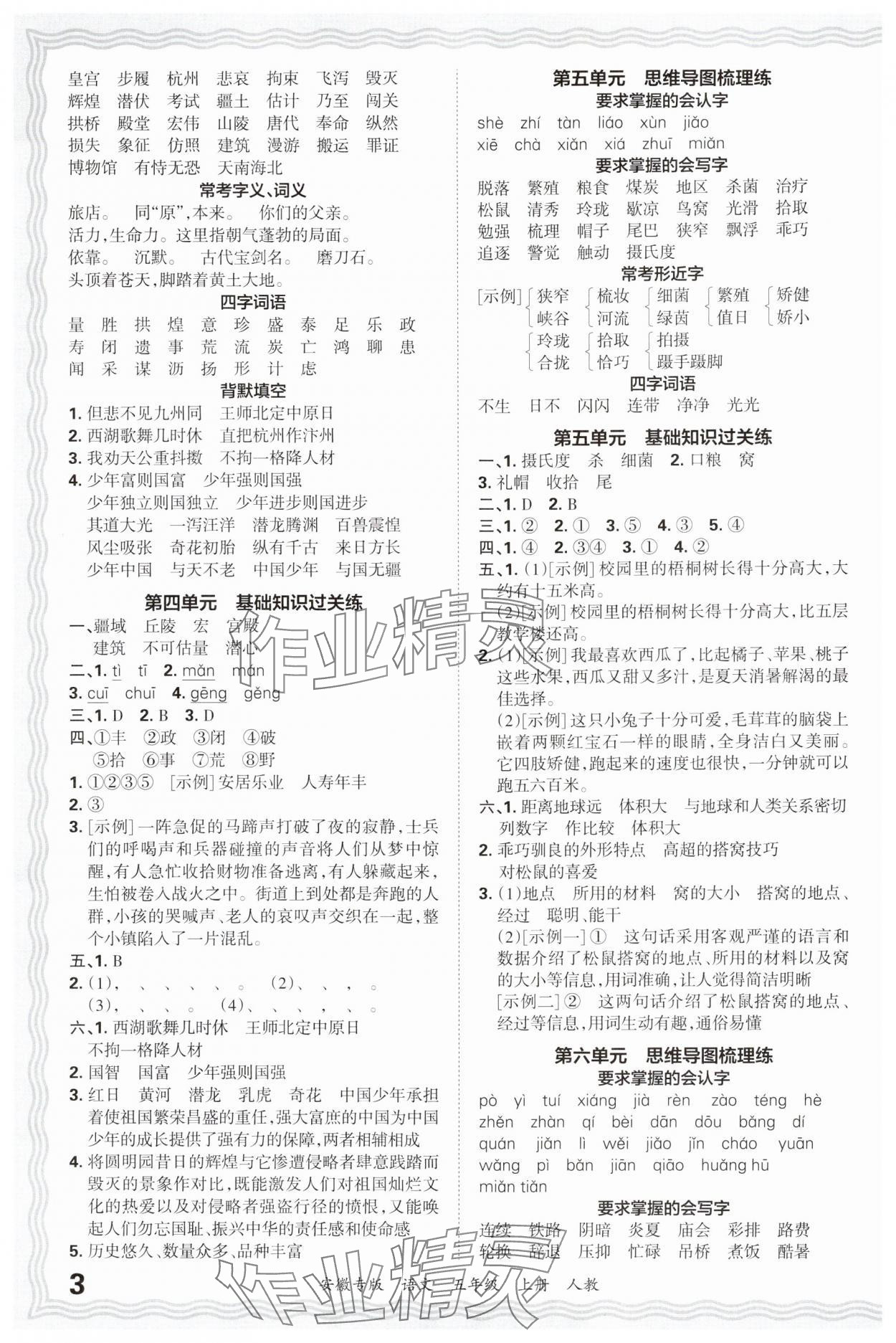 2024年王朝霞期末試卷研究五年級語文上冊人教版安徽專版 參考答案第3頁