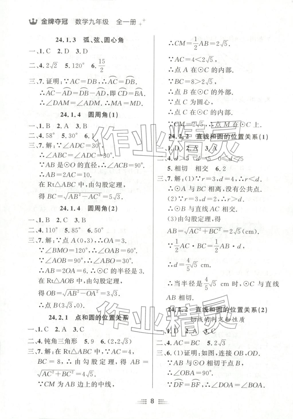 2025年点石成金金牌夺冠九年级数学全一册人教版辽宁专版&nbsp;第8页