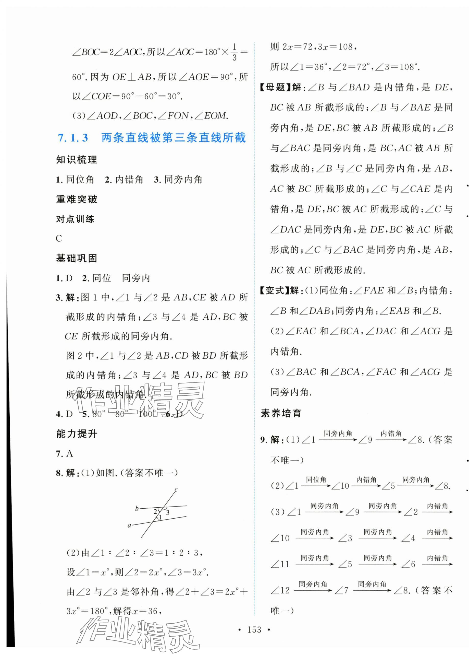2025年實(shí)驗(yàn)教材新學(xué)案七年級(jí)數(shù)學(xué)下冊(cè)人教版 第3頁(yè)
