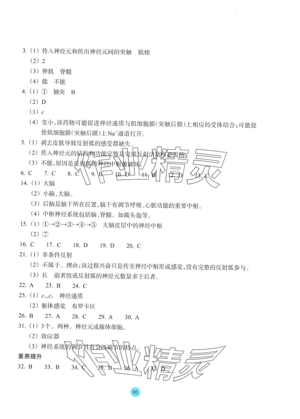 2024年作業(yè)本浙江教育出版社高中生物選擇性必修1浙教版 第7頁