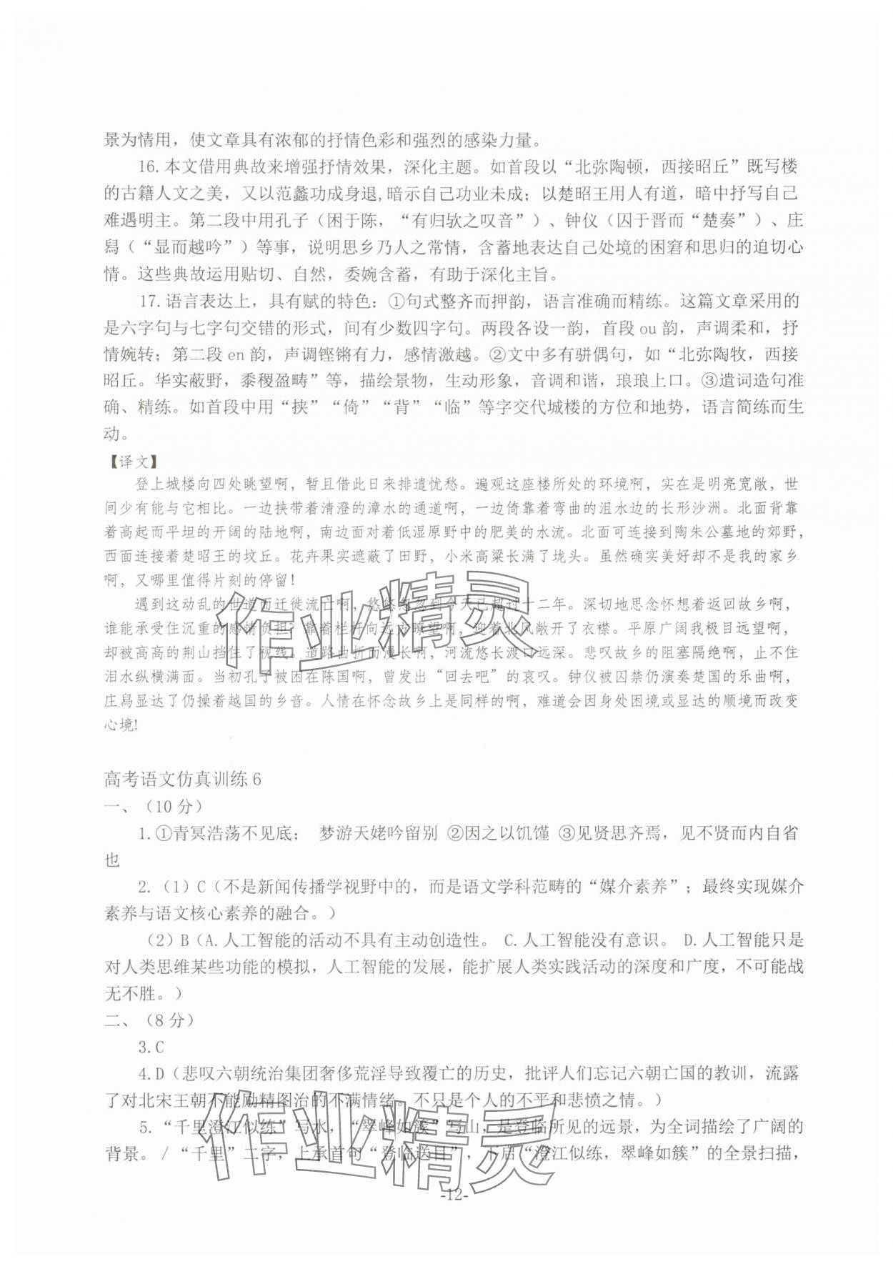 2025年高考語(yǔ)文仿真訓(xùn)練 第12頁(yè)
