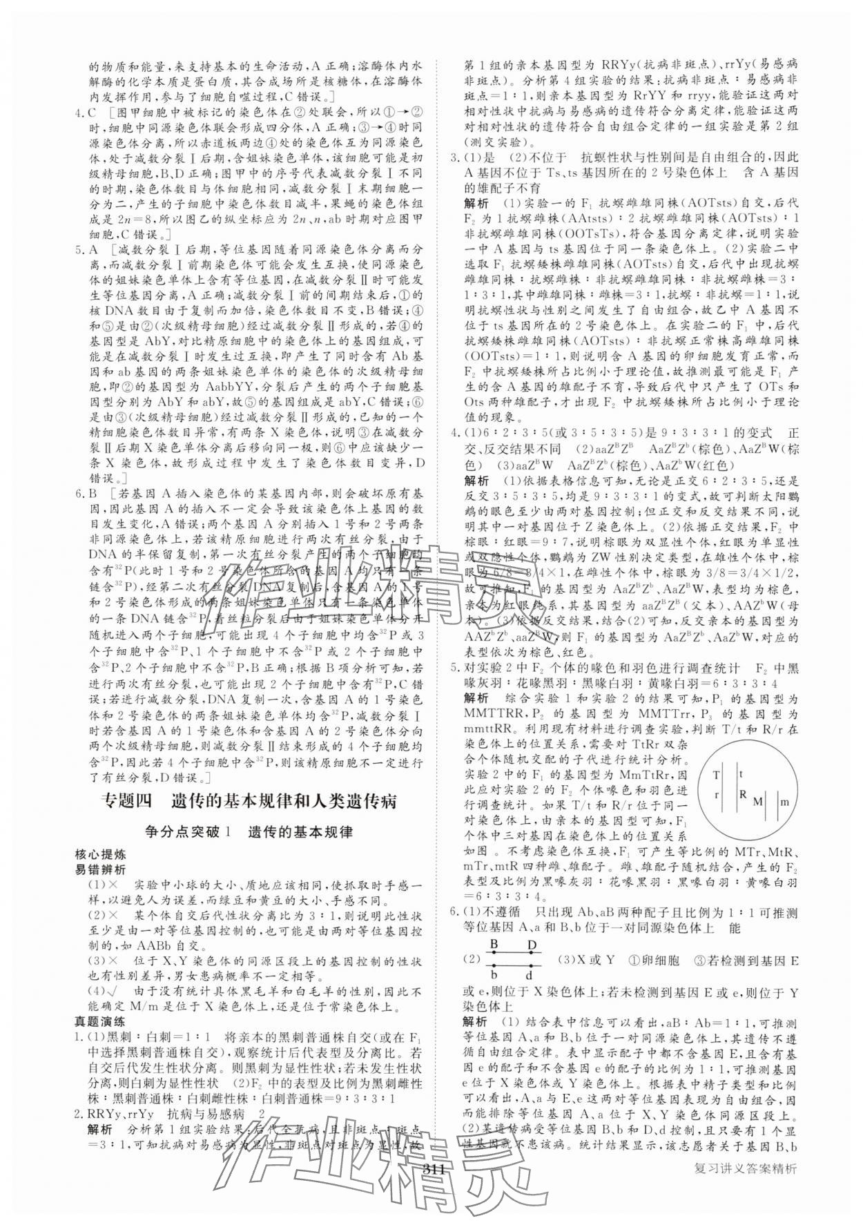 2025年步步高大二輪專題復習高中生物 參考答案第8頁