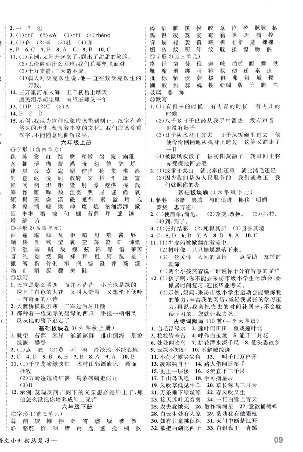 2024年探究樂園高效課堂小升初總復(fù)習(xí)語文 第2頁