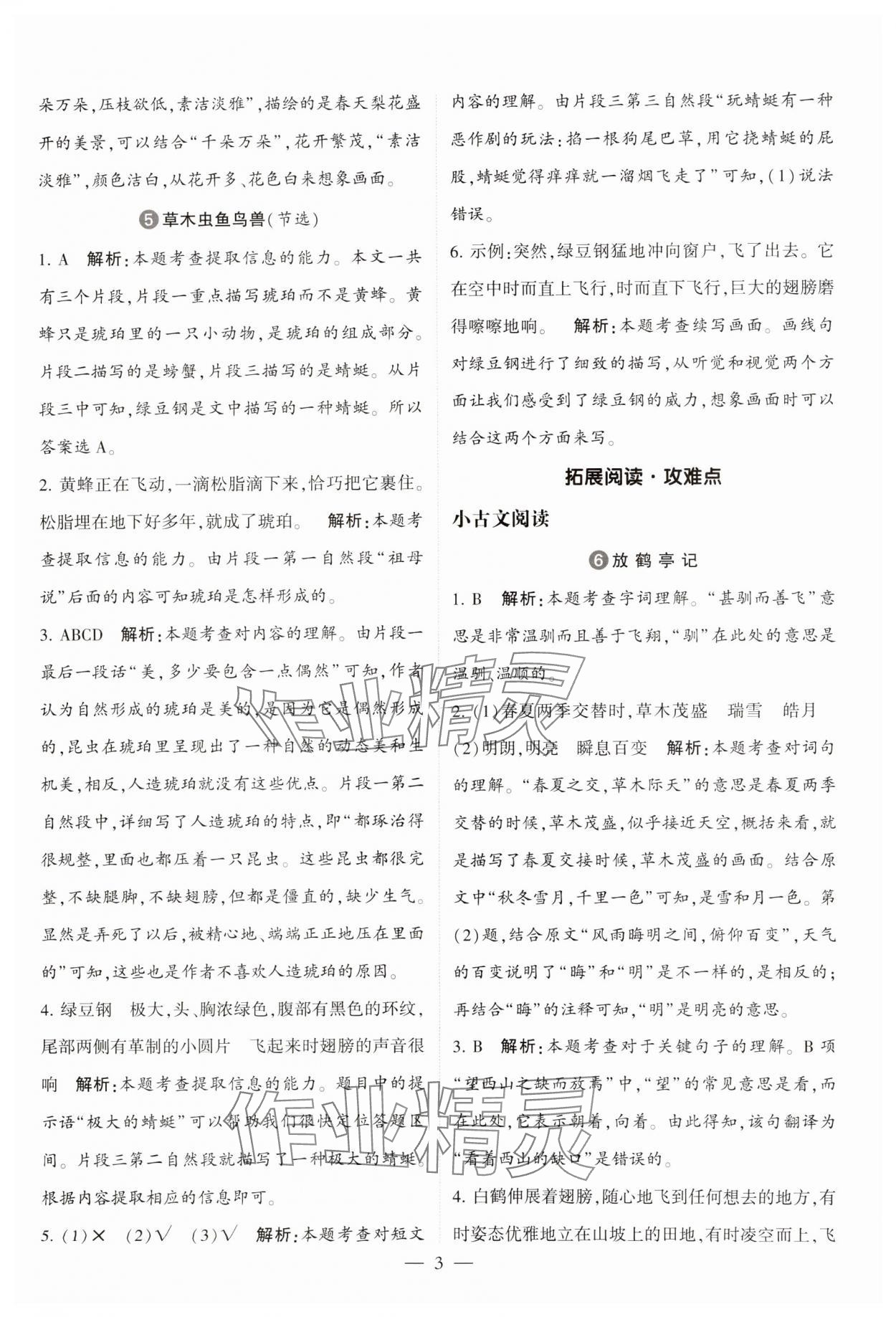 2025年經(jīng)綸學典同步閱讀三年級語文下冊人教版 第3頁