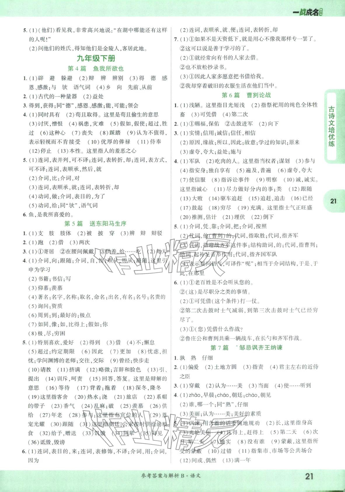 2026年纯练版总复习九年级语文全一册人教版&nbsp;第21页