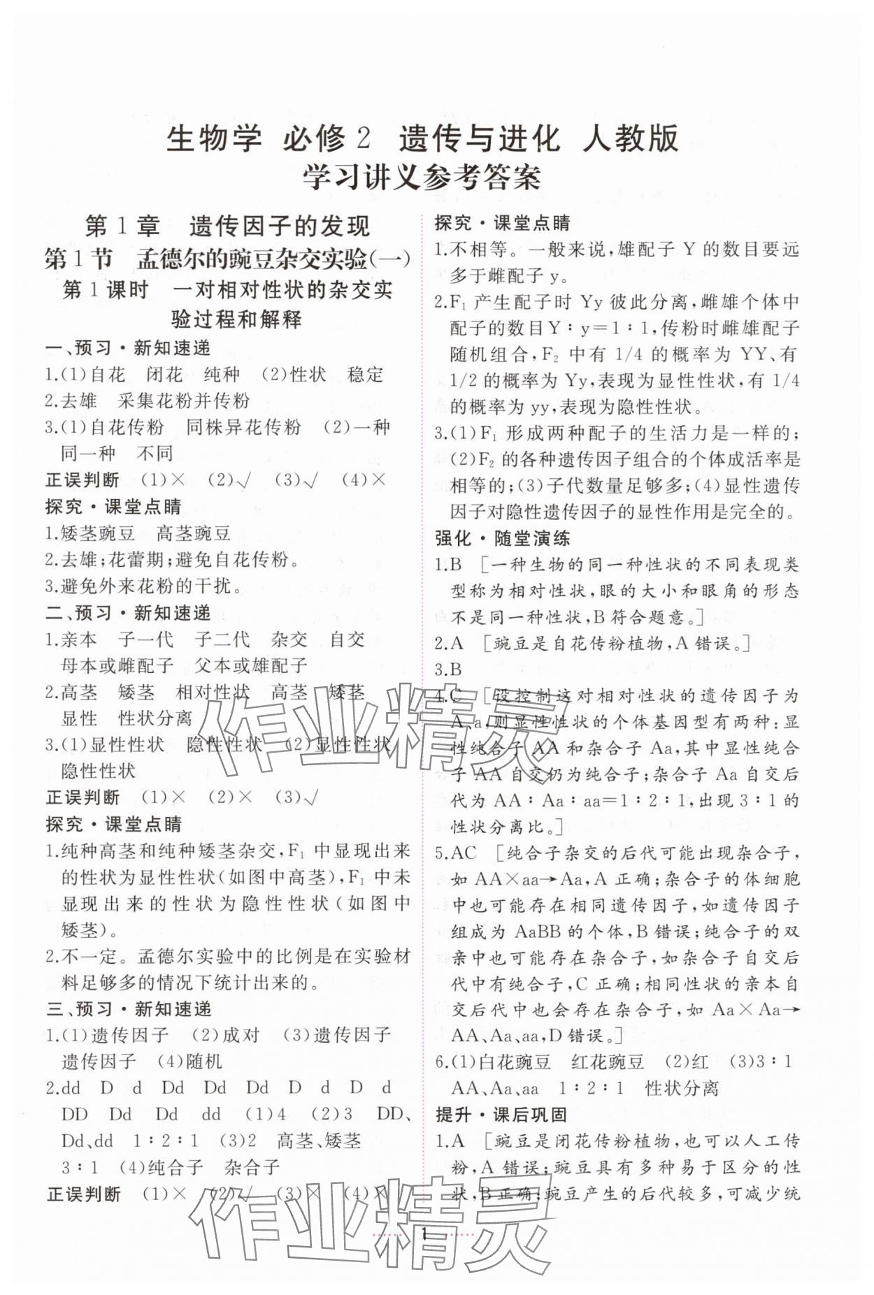 2025年三維隨堂精練高中生物必修2人教版 第1頁